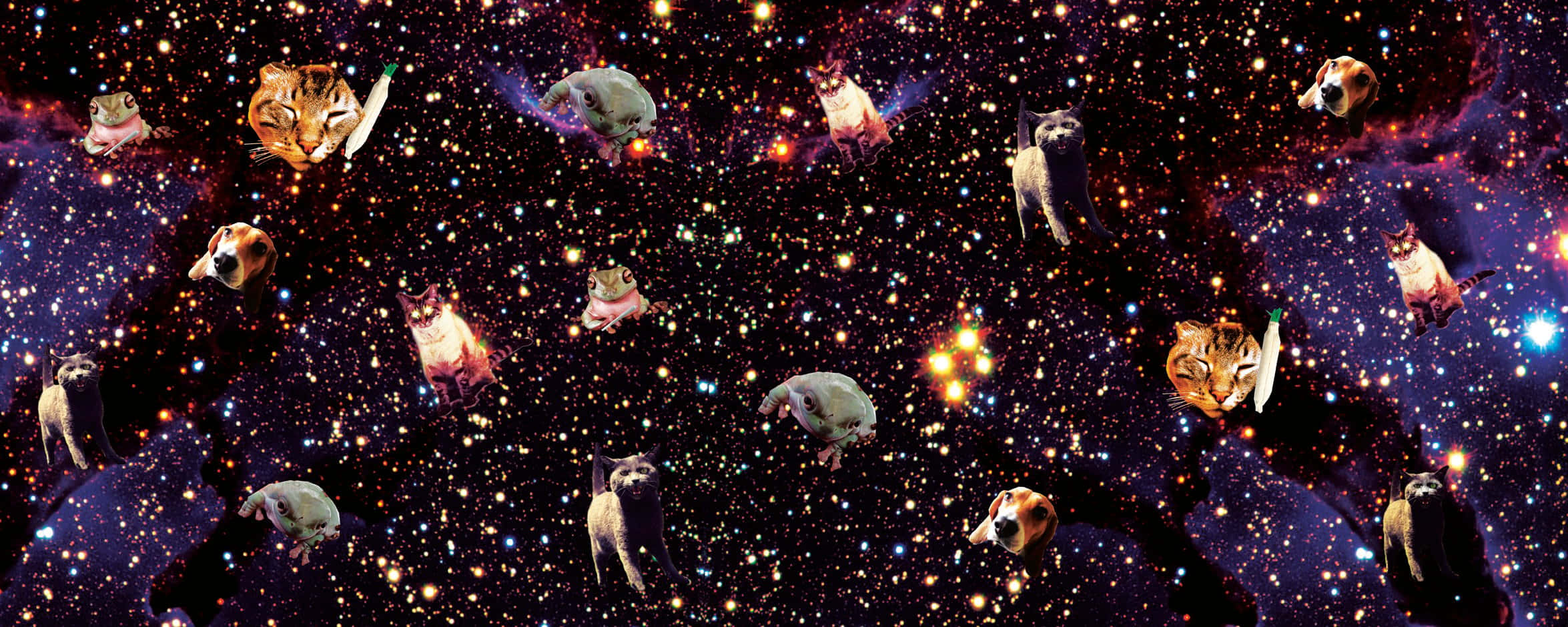 Cute Cat 桌布 壁紙 — 毛茸茸的貓狗在閃爍的星星和宇宙雲中漂浮，構成超現實的太空場景。