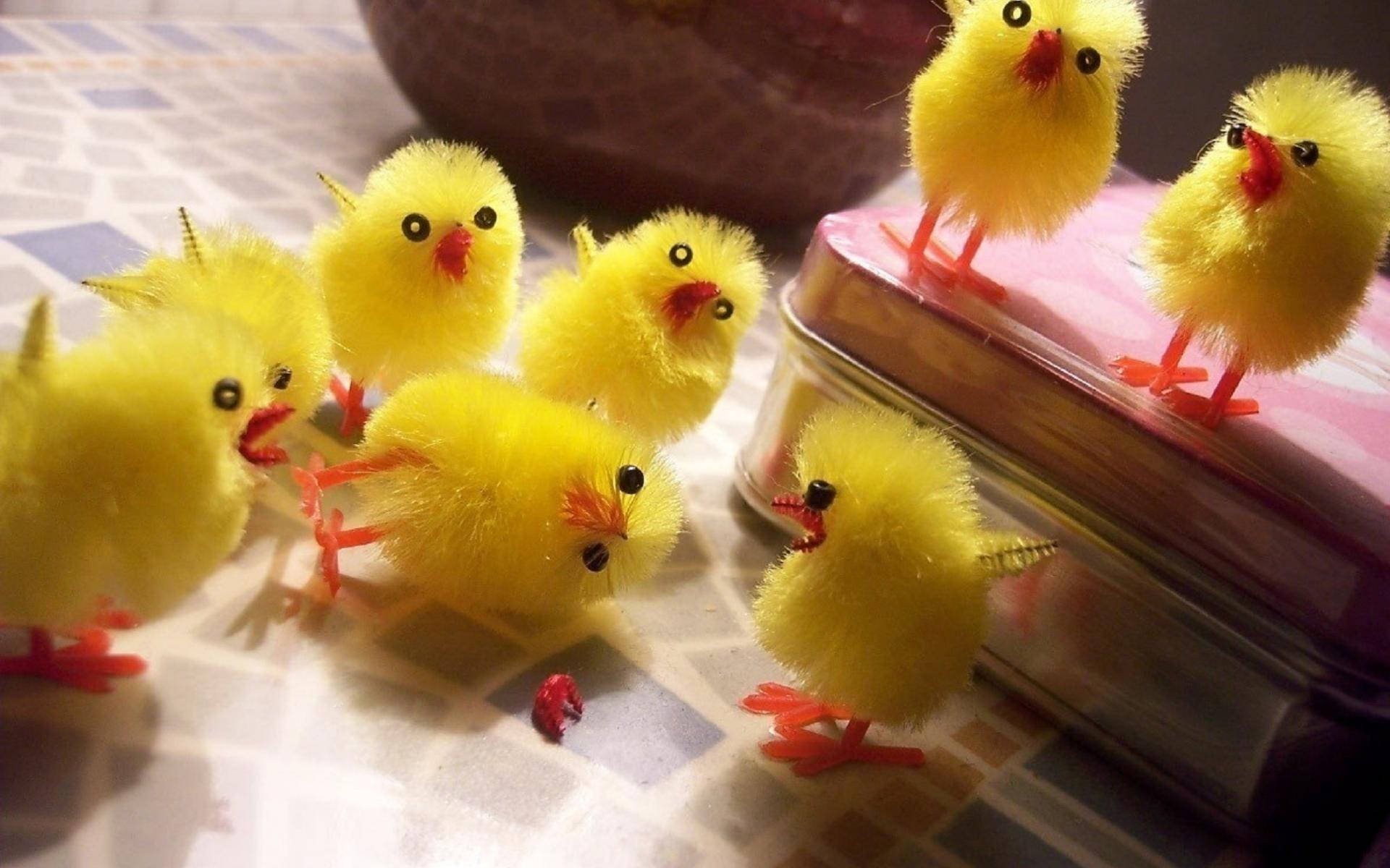 Egg 桌布 壁紙 — 毛茸茸的黃色小雞裝飾，有紅色喙和橙色腳，聚集在粉紅色罐子附近的格子桌布上。