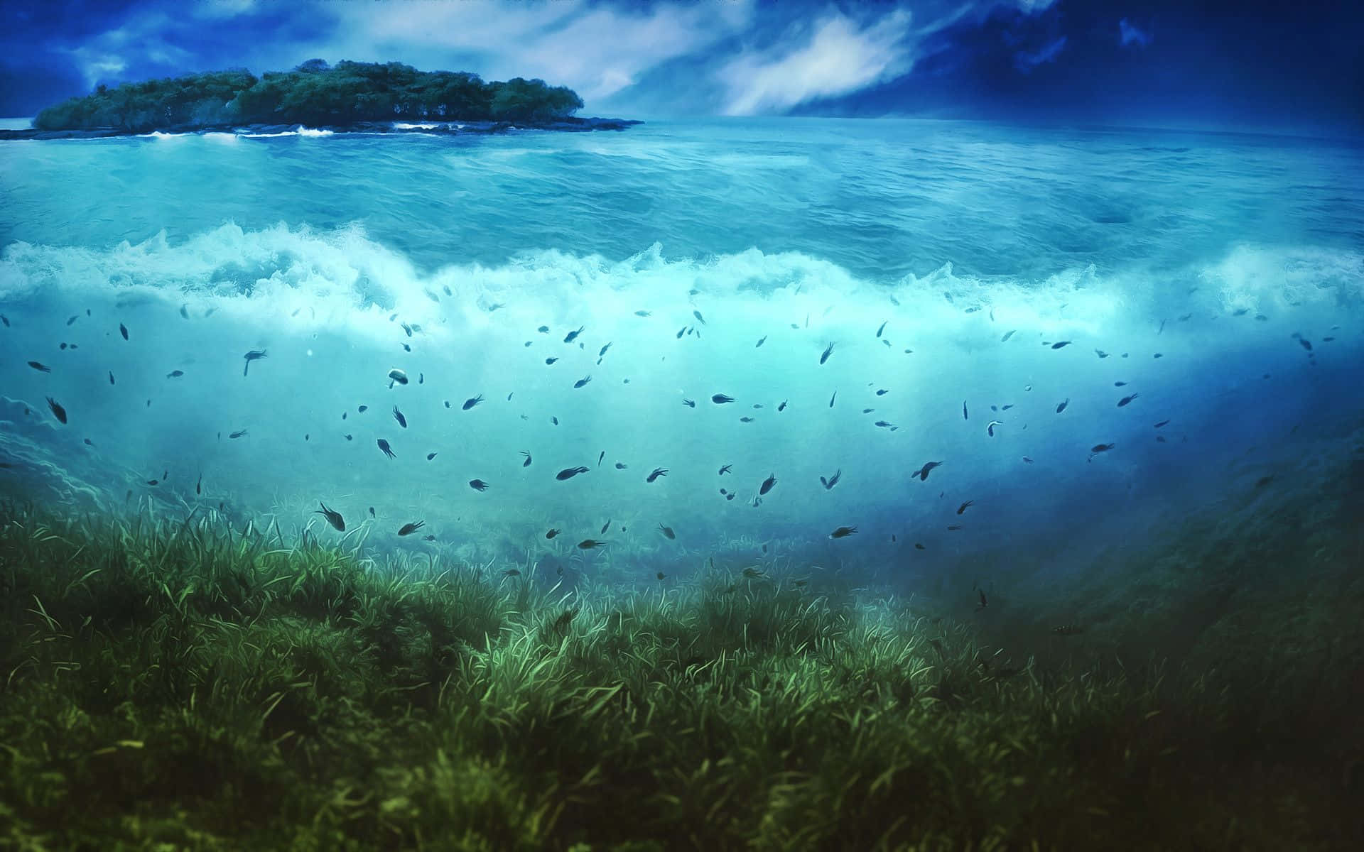 島嶼 桌布 壁紙 — 水下視角，碧綠色的波浪拍打著綠色海草，魚群游向遠處的森林島嶼，天空風暴密佈。