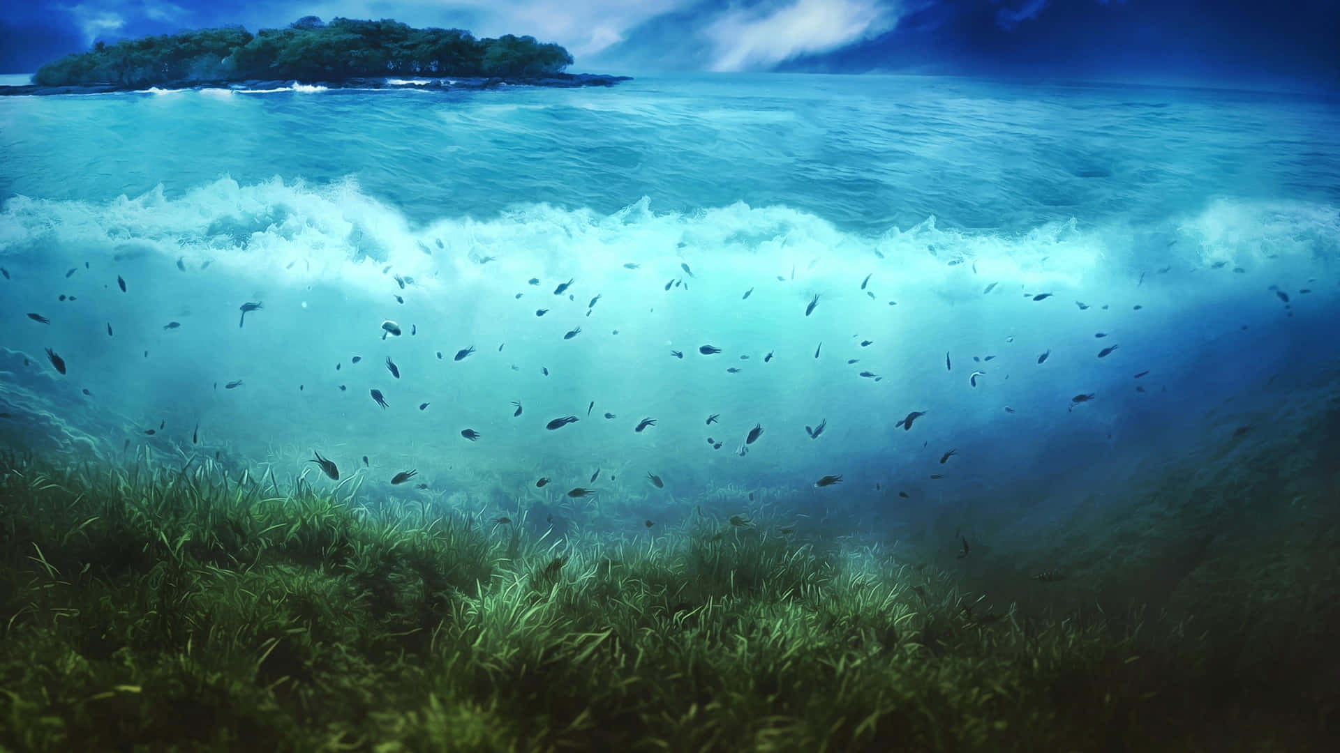 水下場景，魚群在海草和拍打的海浪附近游動。 — 水下動畫 壁紙
