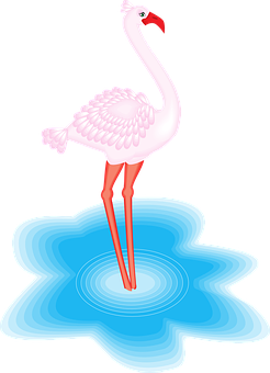 水中的粉紅火烈鳥 — 粉紅色 壁紙