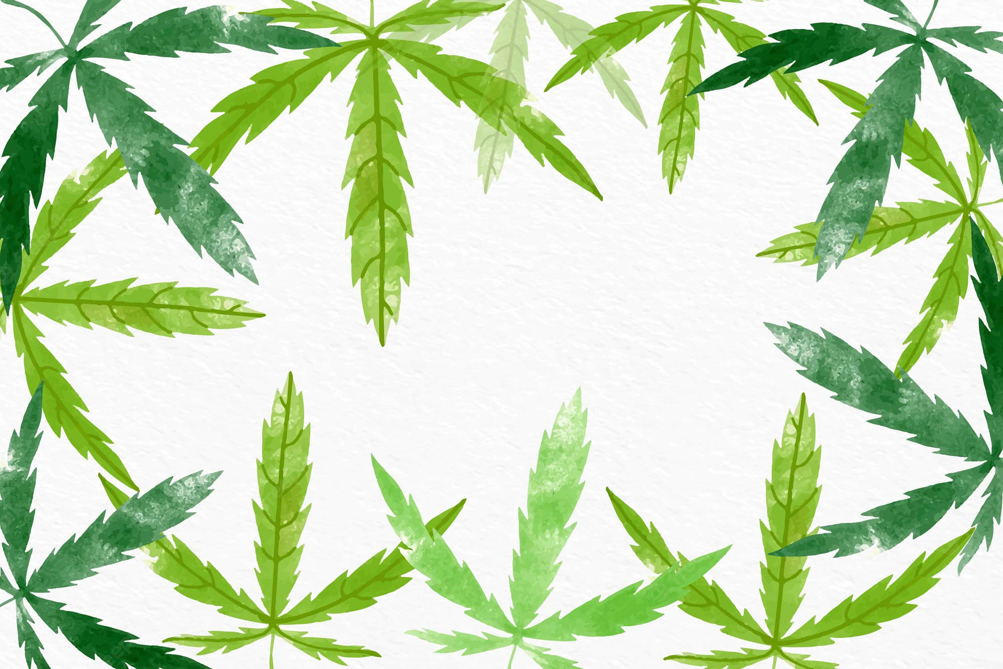 酷炫大麻 桌布 壁紙 — 水彩大麻葉形成茂密的綠色邊框，在紋理紙上框出空白的白色中心。
