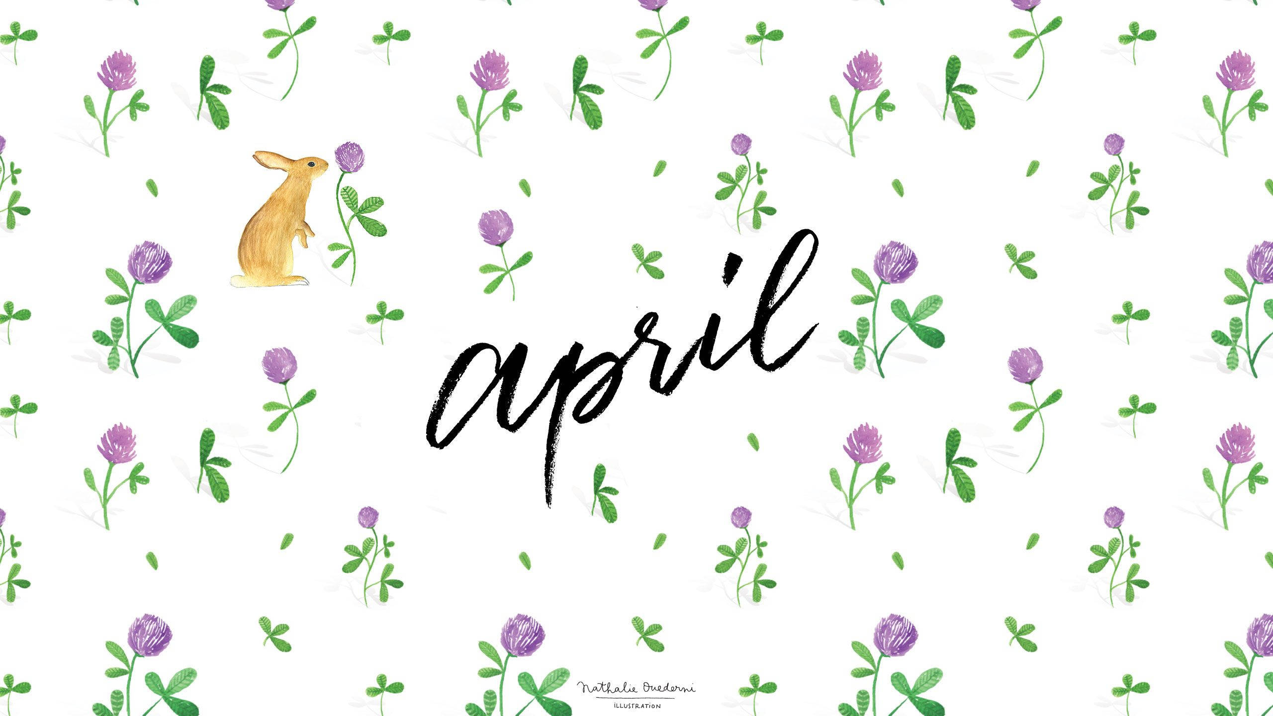 April 桌布 壁紙 — 水彩插圖，一隻兔子在紫色三葉草和綠葉之間，帶有優雅字體的april字樣。