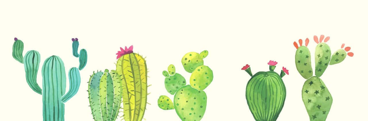 Cactus 桌布 壁紙 — 水彩插圖，描繪各種仙人掌，帶有粉紅色和橙色花朵，背景為淡奶油色。