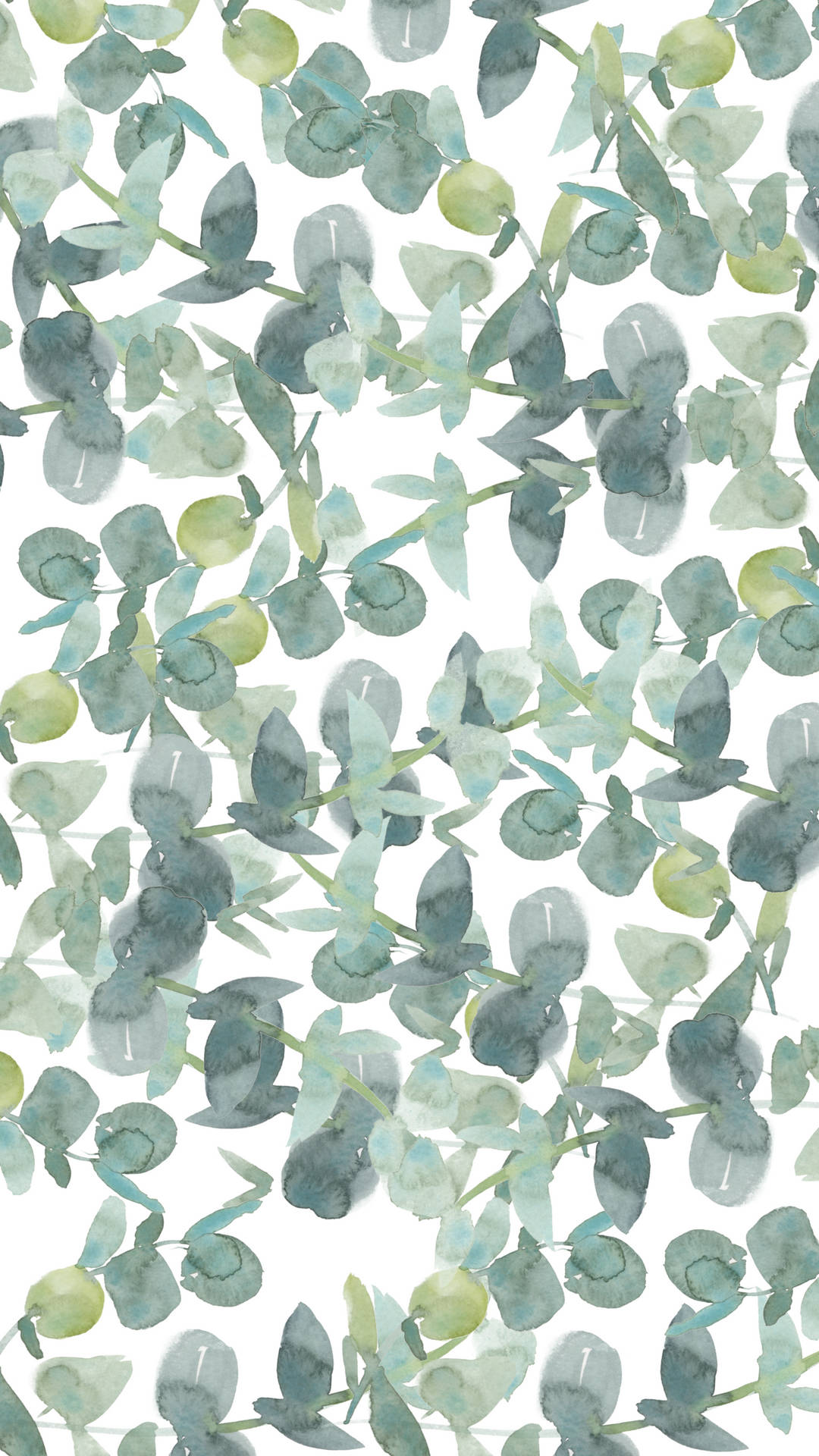 Eucalyptus 桌布 壁紙 — 水彩桉樹葉在柔和的藍綠色和鼠尾草綠色中飄過乾淨的白色背景。