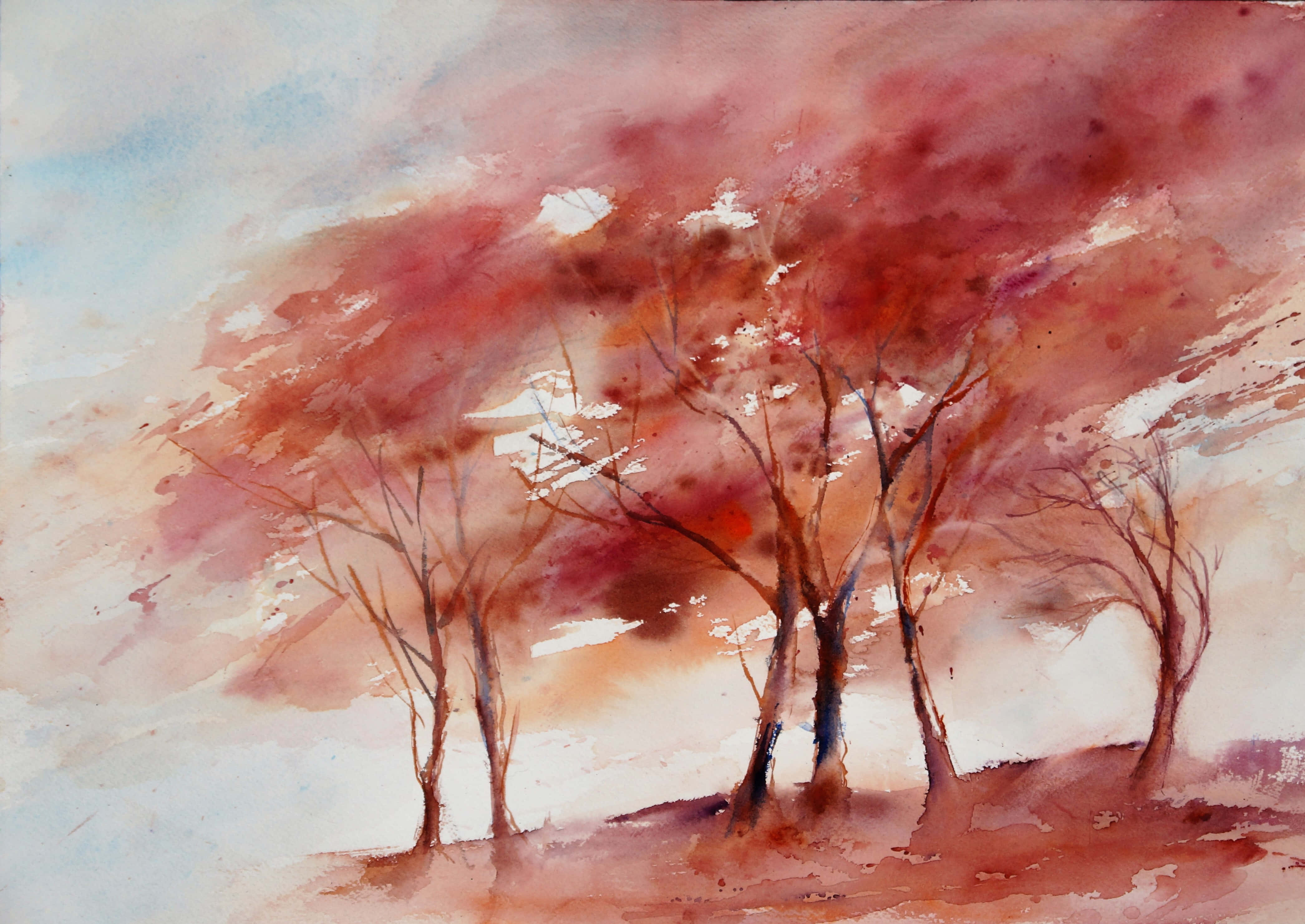 High Resolution Watercolor 桌布 壁紙 — 水彩畫，描繪光禿禿的樹木帶有微紅的樹枝，背景是柔和的粉紅色和藍色天空。