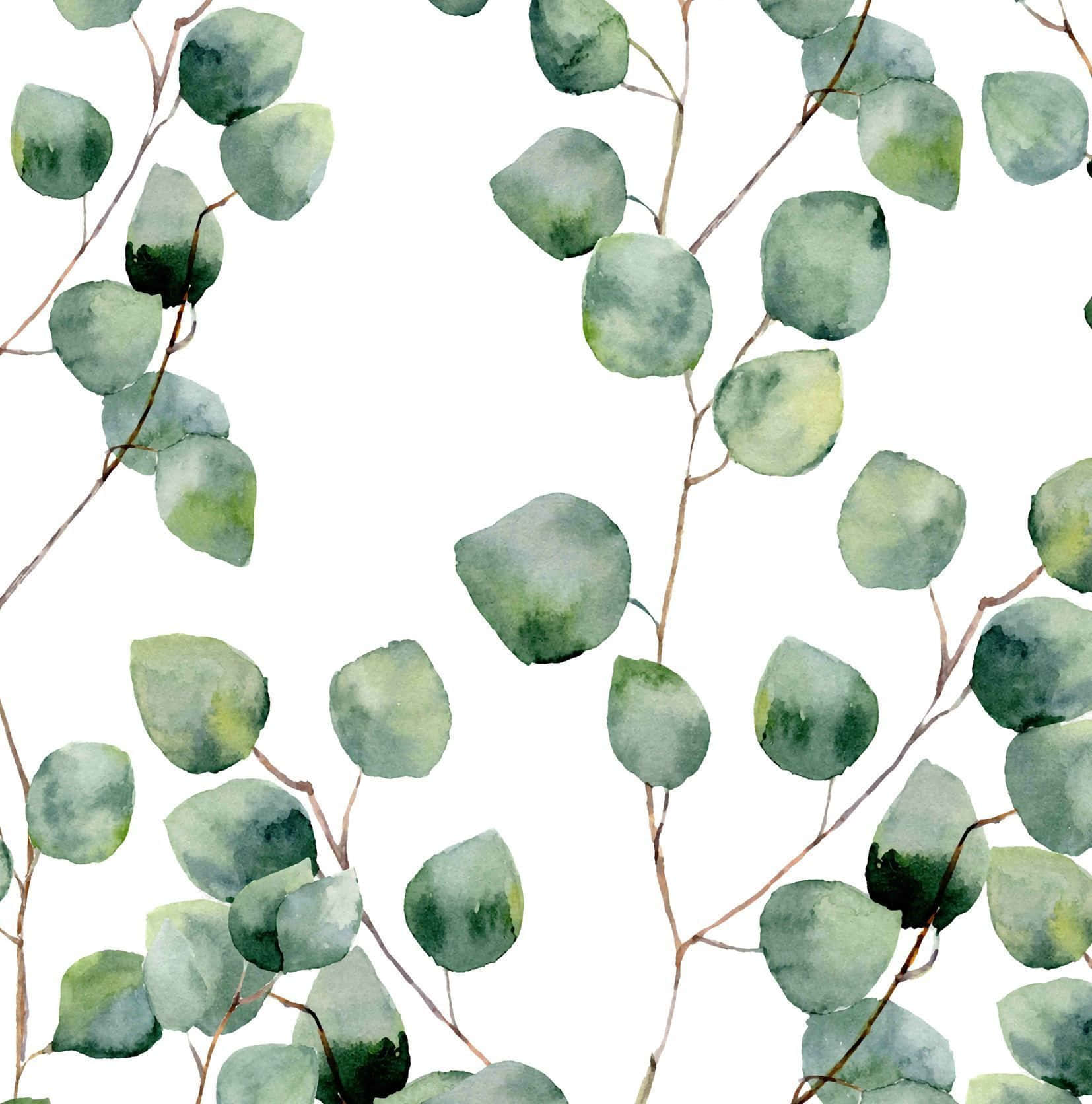 Eucalyptus 桌布 壁紙 — 水彩畫的桉樹葉片以柔和的綠色調在潔淨的白色背景上飄浮，帶有精緻的棕色莖。