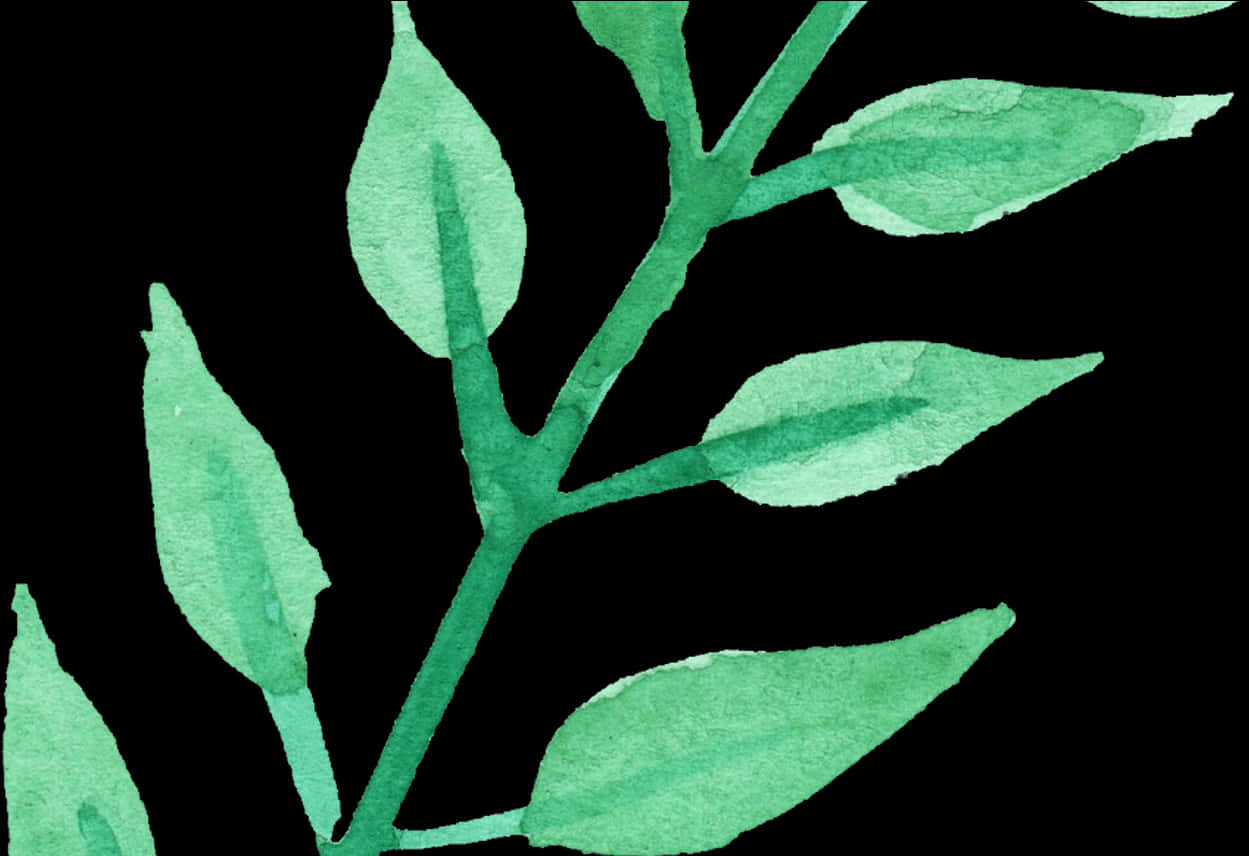 Watercolor 桌布 壁紙 — 水彩畫的樹枝，帶有綠色葉子，襯托在純黑背景上。