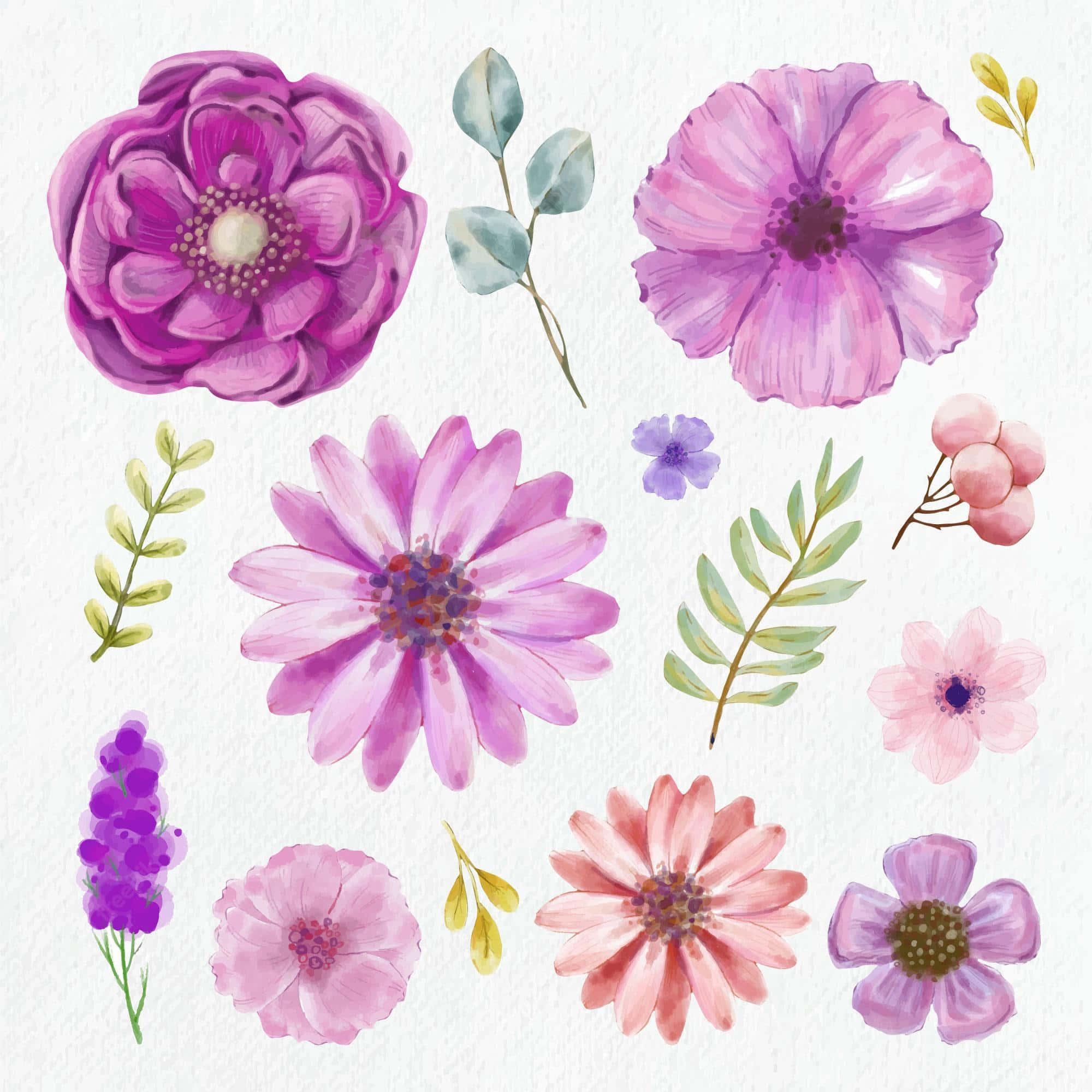 Purple Flower 桌布 壁紙 — 水彩畫系列，在紋理白紙上描繪鮮豔的紫色、粉紅色和薰衣草色花朵，搭配綠色葉子。