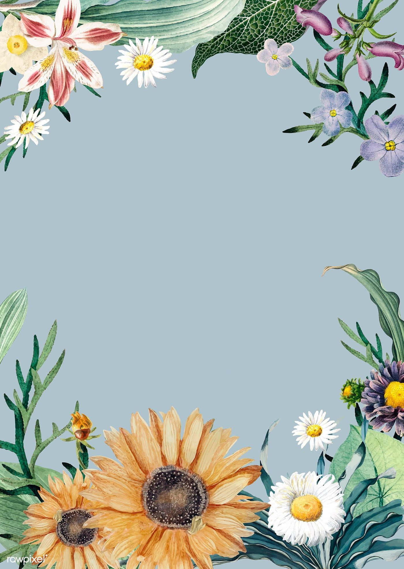 Invitation 桌布 壁紙 — 水彩花卉邊框，以向日葵、雛菊和葉子環繞柔和的藍色背景。