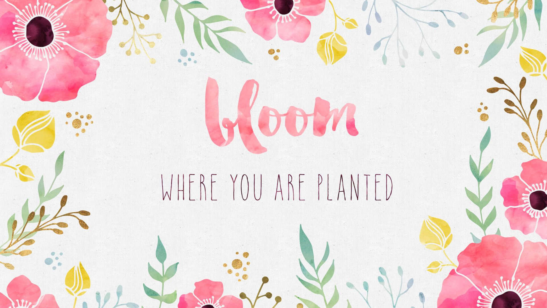 波希米亞風 桌布 壁紙 — 水彩花卉邊框圍繞著單詞 bloom，以柔和的粉紅色搭配綠色、黃色和金色點綴，背景為有紋理的白色。