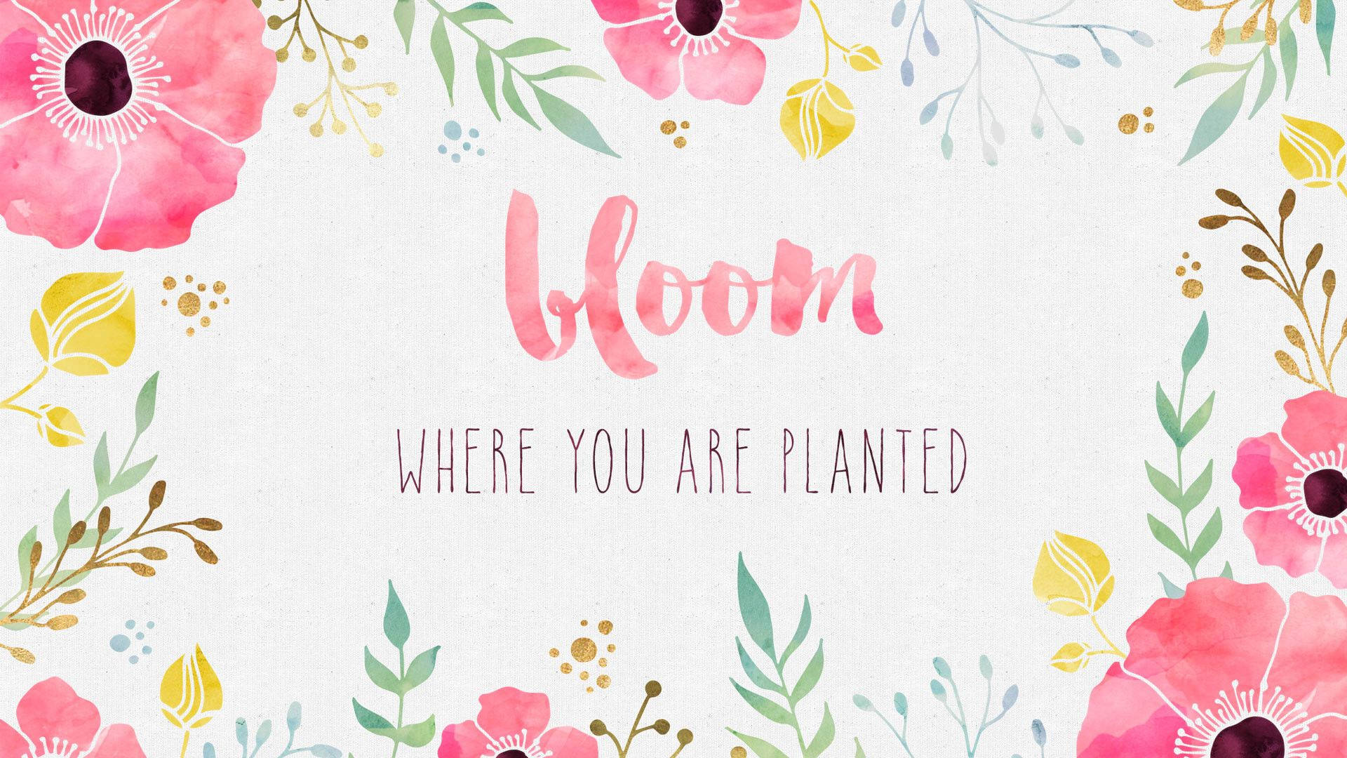 少女風 桌布 壁紙 — 水彩花卉邊框框住粉紅色字體的 bloom 字樣，背景是有紋理的白色。