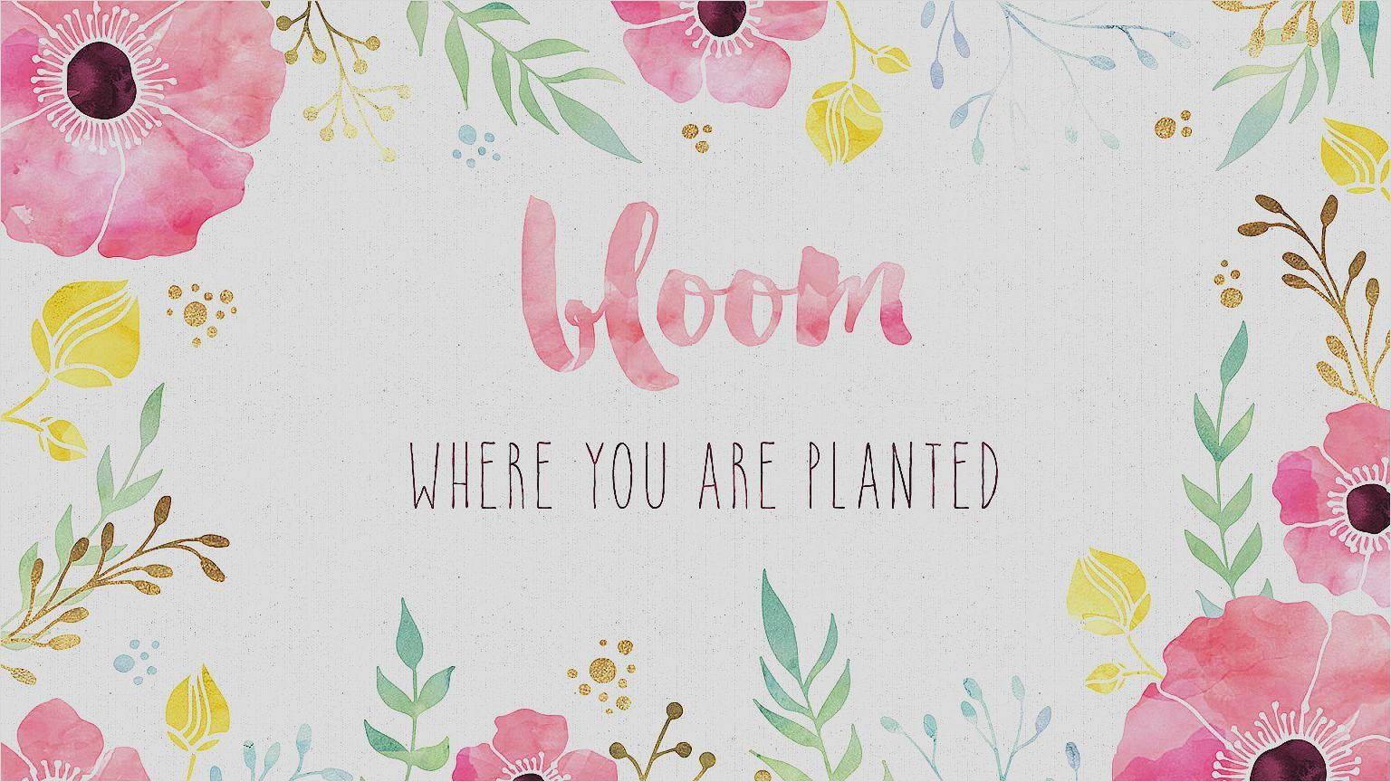 可愛女生 桌布 壁紙 — 水彩花卉邊框環繞著單詞 bloom，以柔和的粉紅色、綠色葉子和金色點綴在帶紋理的白色背景上。