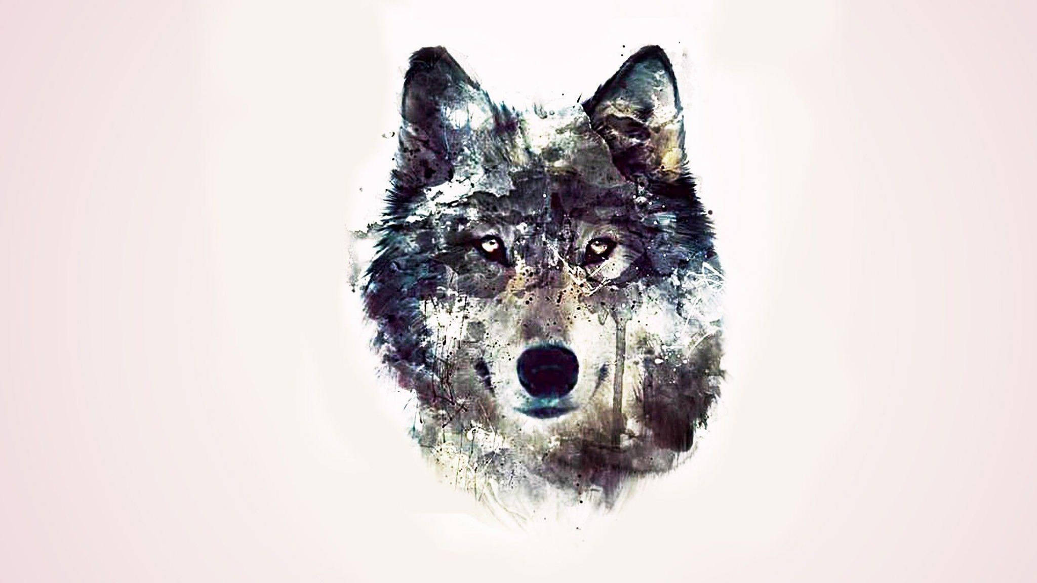 Dog Art 桌布 壁紙 — 水彩風格狼頭肖像，帶有紋理的灰色毛髮和銳利的眼睛，背景為柔和粉紅色。