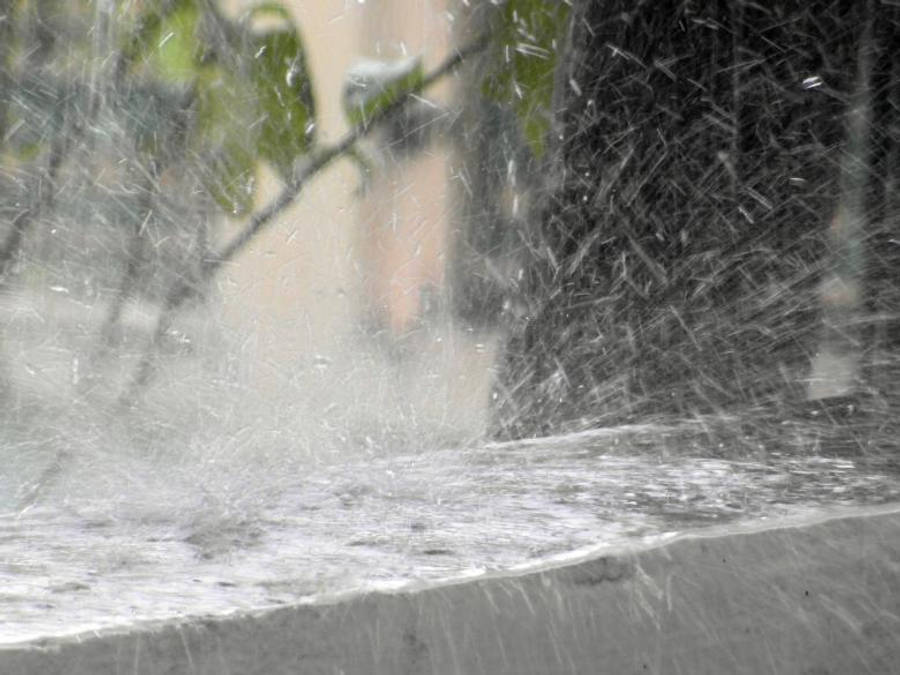 Raining 桌布 壁紙 — 水滴慢動作噴灑的特寫，背景是模糊的綠葉和深色樹幹。