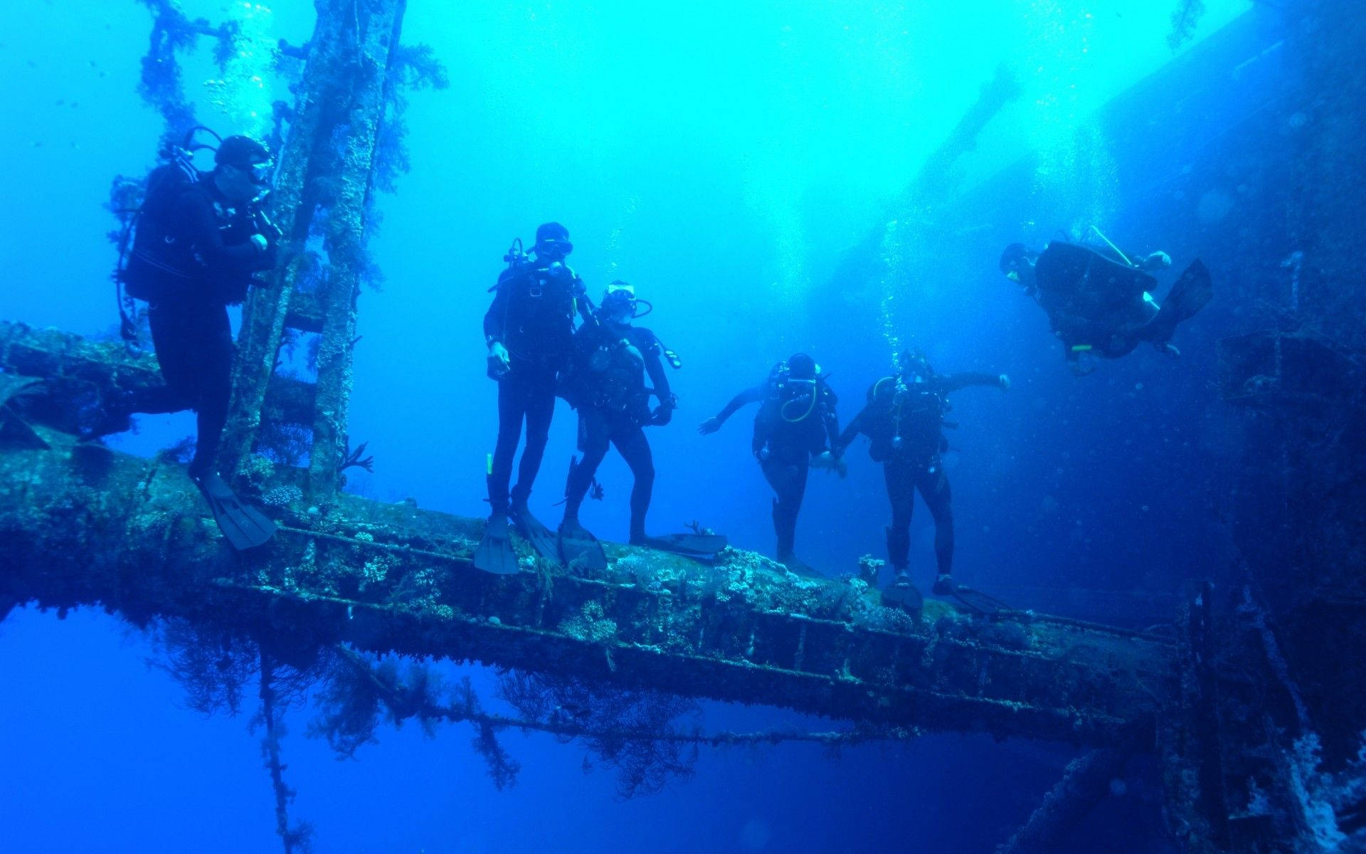 海洋 桌布 壁紙 — 水肺潛水員在深藍色海洋水域探索充滿海洋生物的陽光照射沉船。