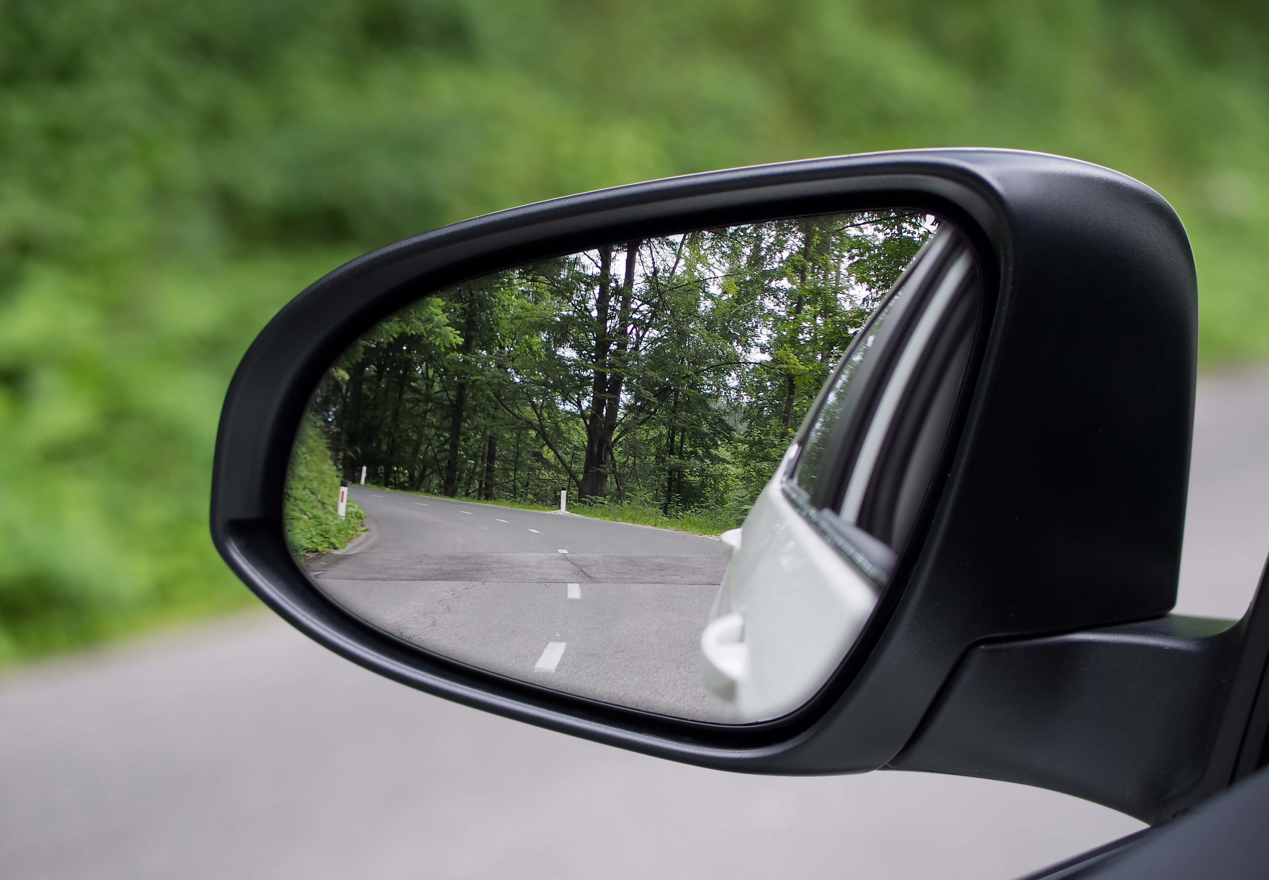 reflection 桌布 壁紙 — 汽車側鏡反射出一條蜿蜒的森林道路，兩旁是高聳的綠樹，在柔和日光下。