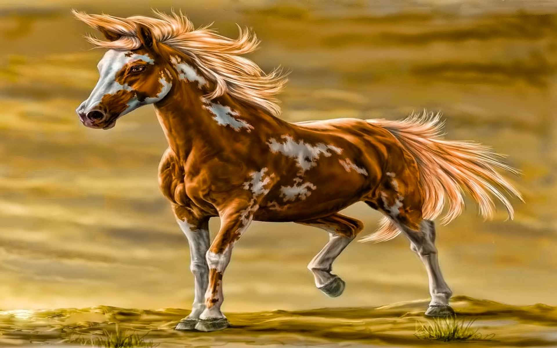 沙漠中奔騰的駿馬畫作 壁紙