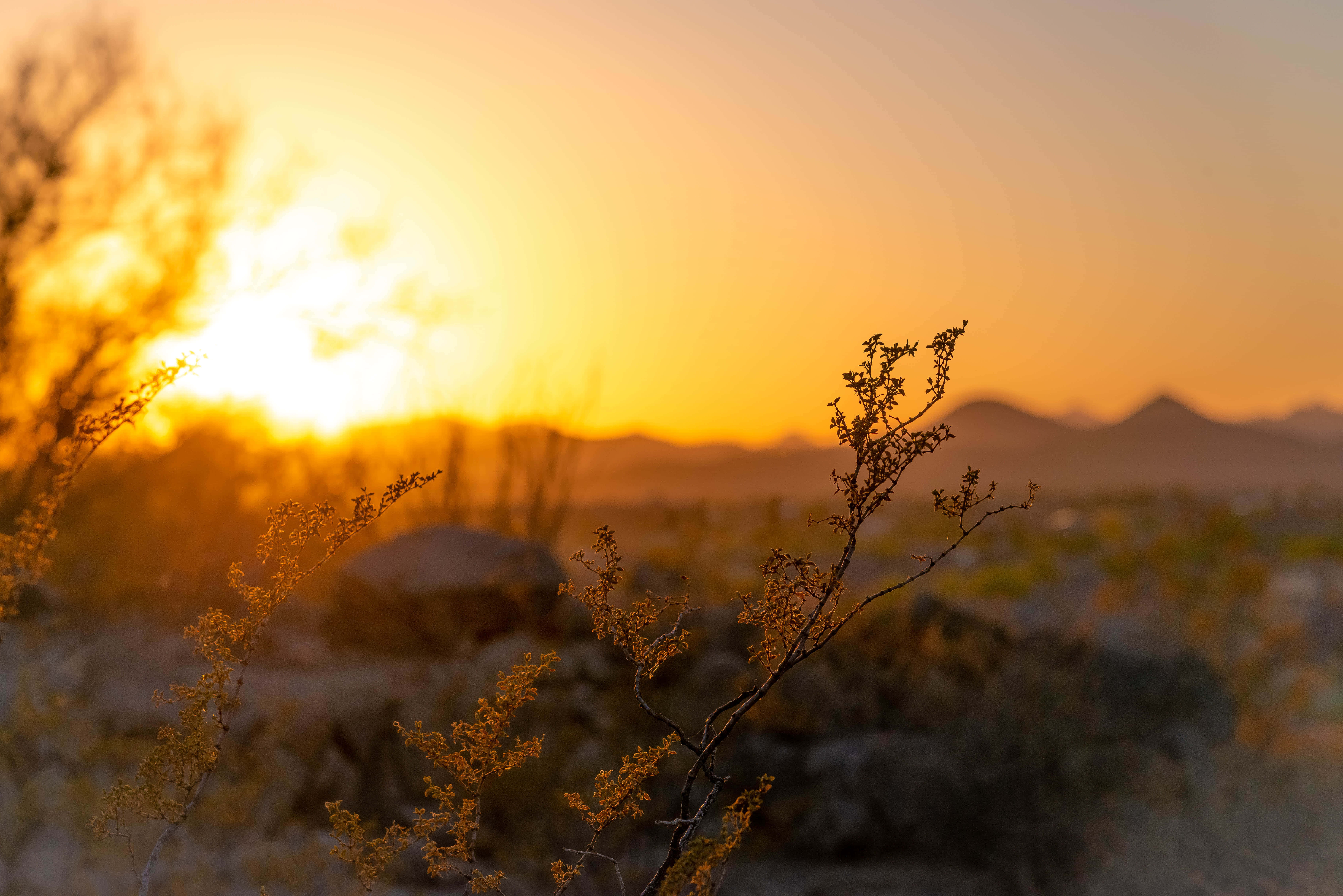 沙漠中的夕陽，背景有一支畫筆 壁紙