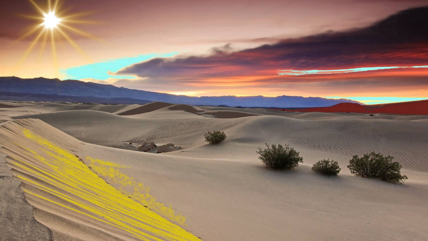 Desert Sun 桌布 壁紙 — 沙漠日落，充滿活力的橙色和紫色天空將金色光芒灑在沙丘和稀疏的綠色灌木上。