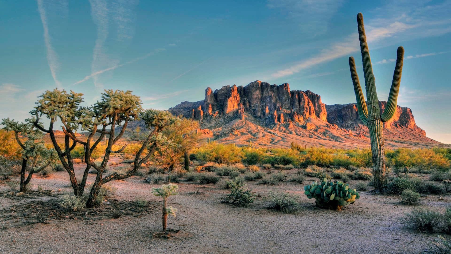 Arizona 桌布 壁紙 — 沙漠日落將紅色岩層和薩瓜羅仙人掌沐浴在溫暖的金色光芒中，天空清澈湛藍。