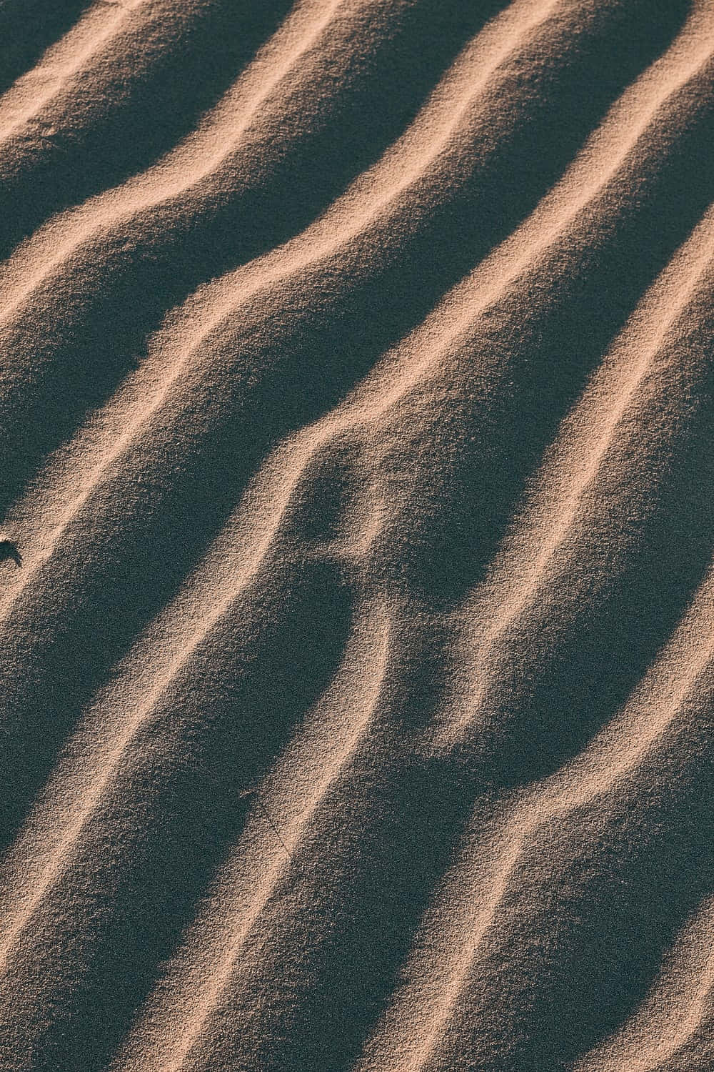 sand 桌布 壁紙 — 沙漠景觀中陽光照耀的沙丘特寫，投下長長的陰影。