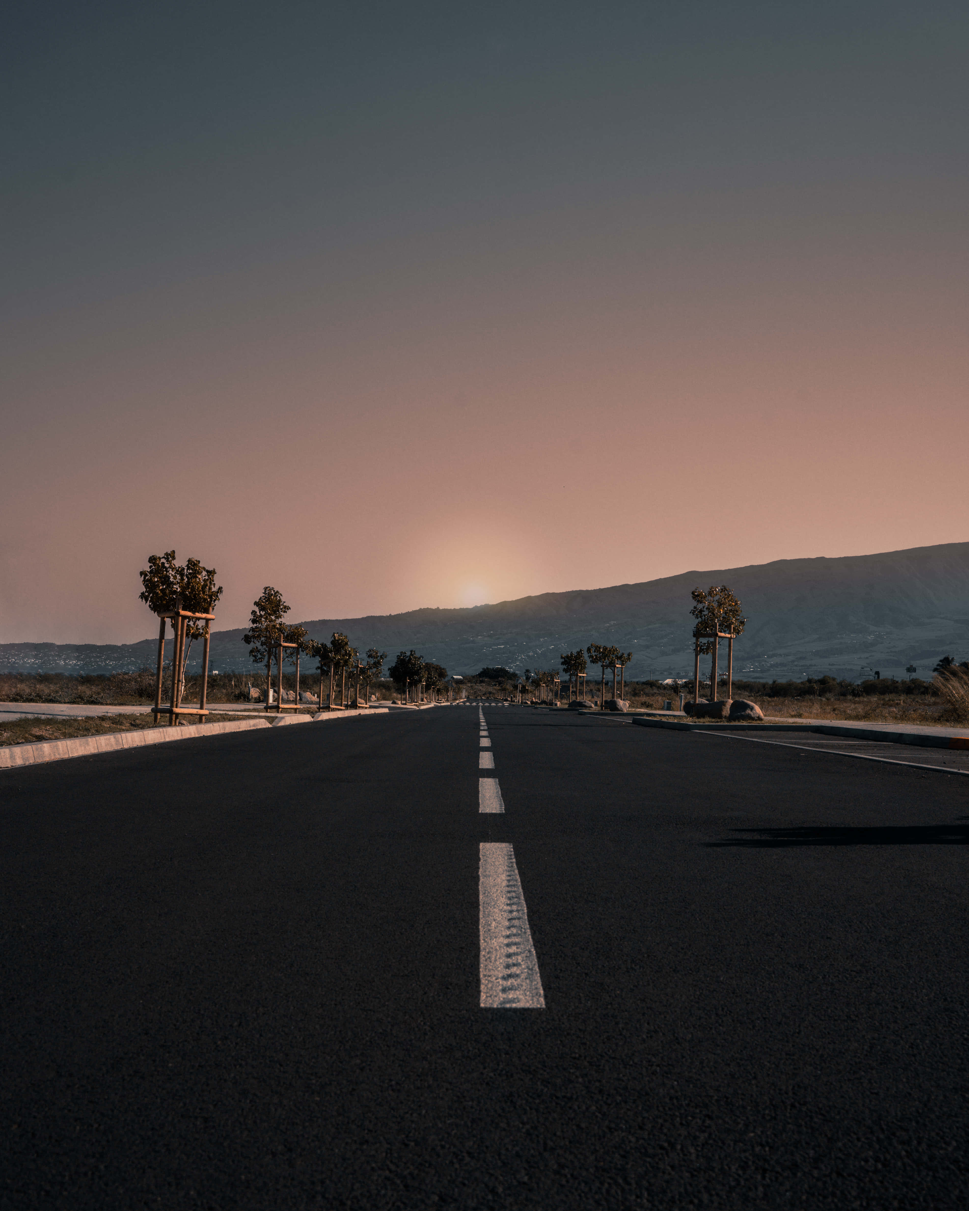 沙漠道路上的棕櫚樹與夕陽 壁紙
