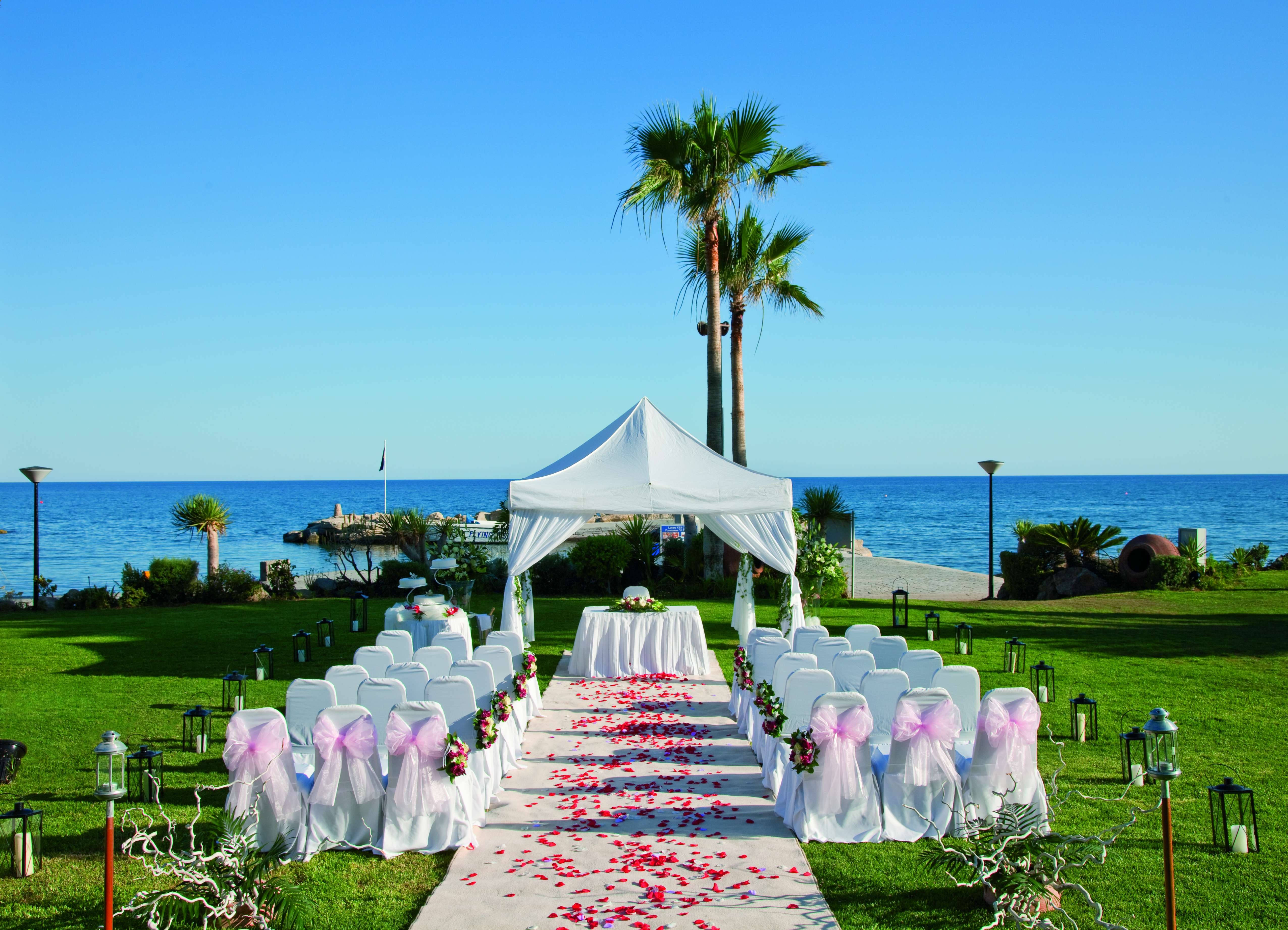 Wedding 桌布 壁紙 — 沙灘婚禮佈置，白色椅子飾以粉紅色蝴蝶結和玫瑰花瓣，路徑通向藍天白雲下的天篷。