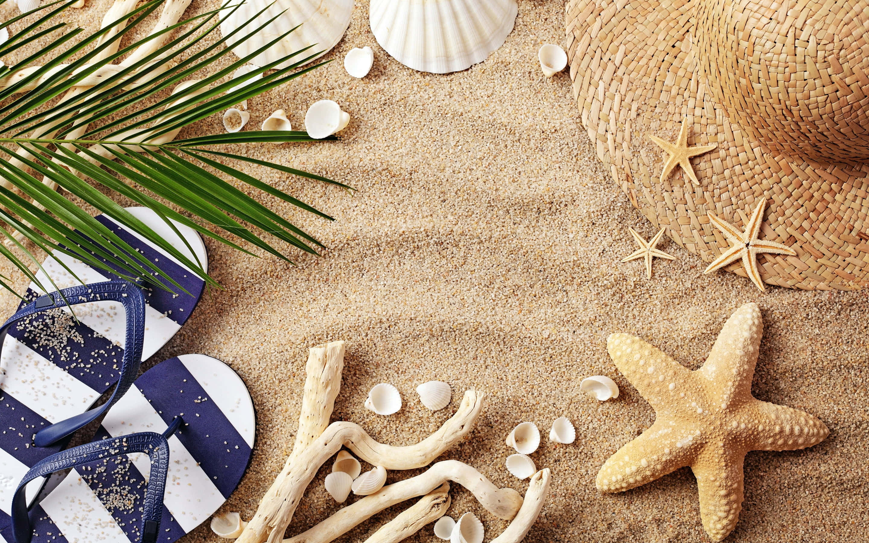 Beach Accessories 桌布 壁紙 — 沙灘物品的平鋪擺設，包括人字拖、海星、貝殼和棕櫚葉，排列在金色沙灘上。