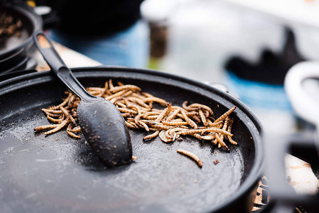 黑色煎鍋和黑色湯匙中的油炸昆蟲幼體。 — 食物動圖 壁紙