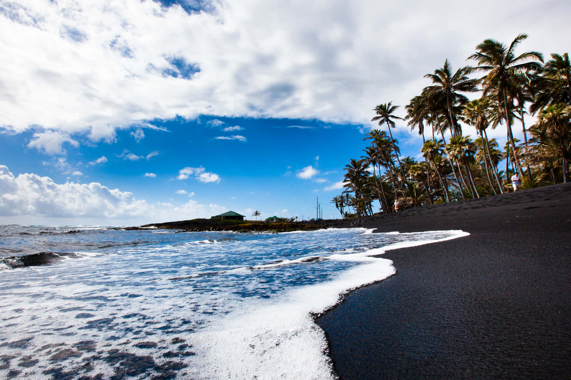 Sea Beach 桌布 壁紙 — 泡沫海浪拍打著一條光禿禿的黑色火山海灘，兩旁種滿高大的棕櫚樹，天空湛藍，白雲朵朵。
