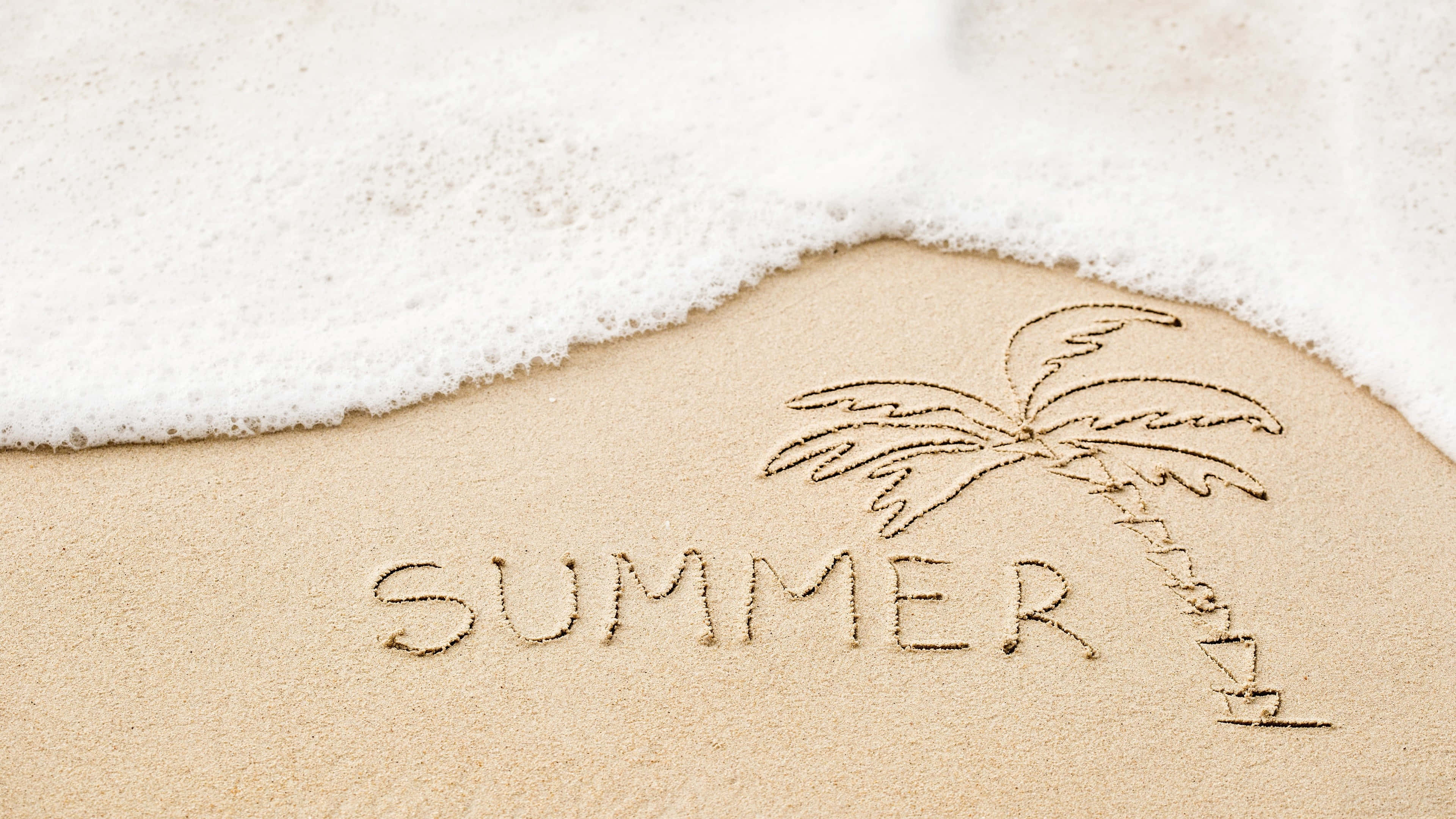 Summer Beach 桌布 壁紙 — 泡沫海浪輕輕侵蝕手繪棕櫚樹和刻在金色沙灘上的「夏天」一詞。