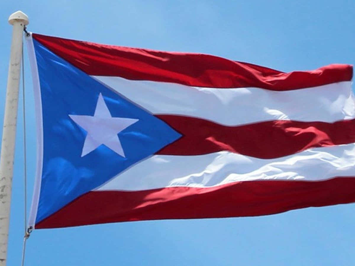 Puerto Rican 桌布 壁紙 — 波多黎各國旗，紅白條紋，藍色三角形內有白色星星，在清澈的藍天下自豪地飄揚。