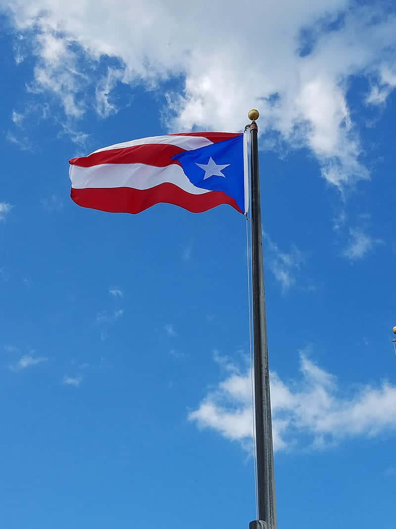 Puerto Rican 桌布 壁紙 — 波多黎各旗幟在藍天白雲中自豪地飄揚。