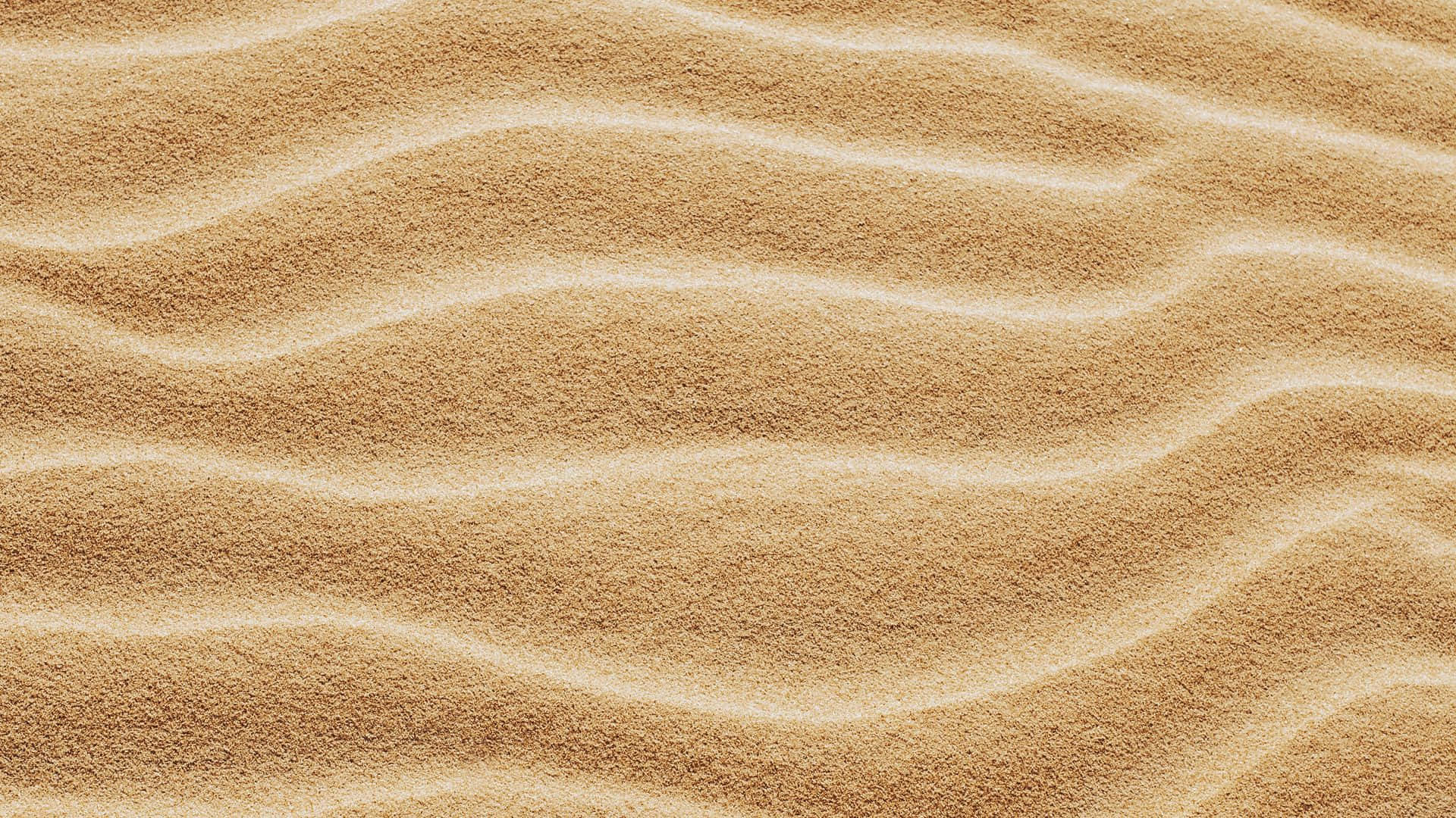 sand 桌布 壁紙 — 波浪般的金色沙丘在柔和日光下泛起漣漪，營造出寧靜的沙漠質感。