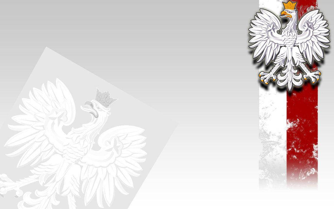 Poland Flag 桌布 壁紙 — 波蘭白鷹徽章，帶有皇冠和紅白條紋，背景為漸變色。