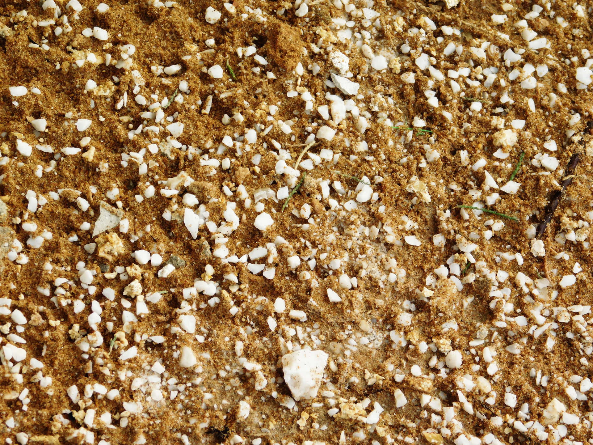 Sand and stones 壁紙 — 泥土棕色土壤混合散落白色礫石和稀疏綠色草葉的特寫。