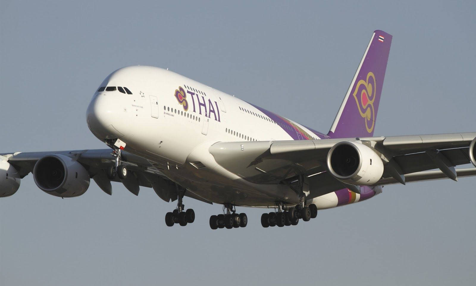 Blue Sky 桌布 壁紙 — 泰國航空空中巴士A380正在放下起落架，在清澈的藍天下下降。