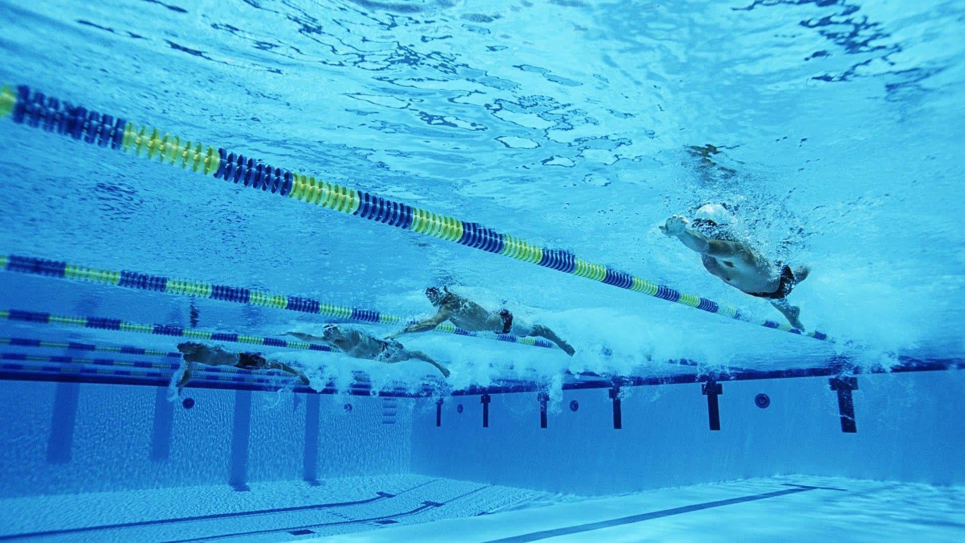 Swimming 桌布 壁紙 — 泳手在藍色水及彩色泳道分隔的泳池中比賽的水底視角。