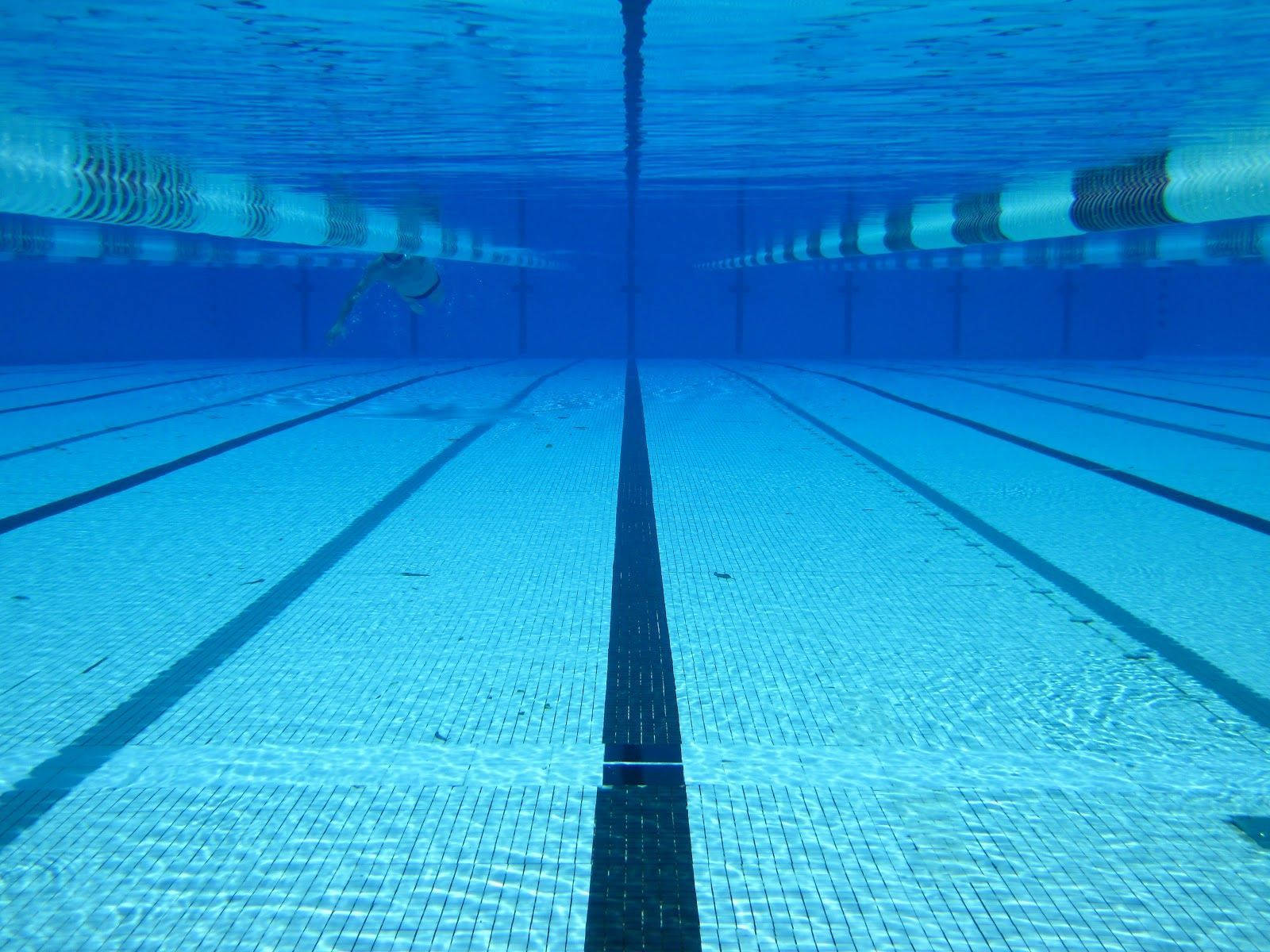 Swimming 桌布 壁紙 — 泳手在藍色水及泳道分隔線的瓷磚泳道中滑行的水下視圖。