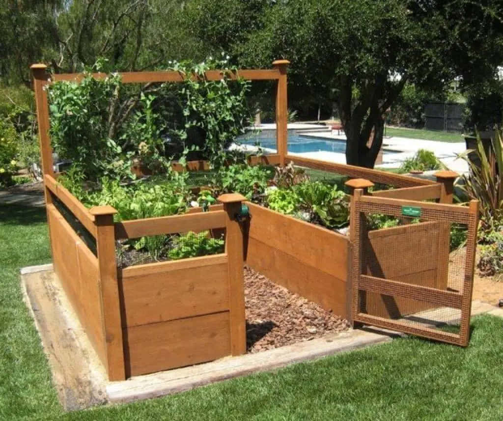 Garden Bed 桌布 壁紙 — 泳池旁陽光普照的草坪上，一個木製高架花床種滿了茂盛的綠色植物和藤蔓。