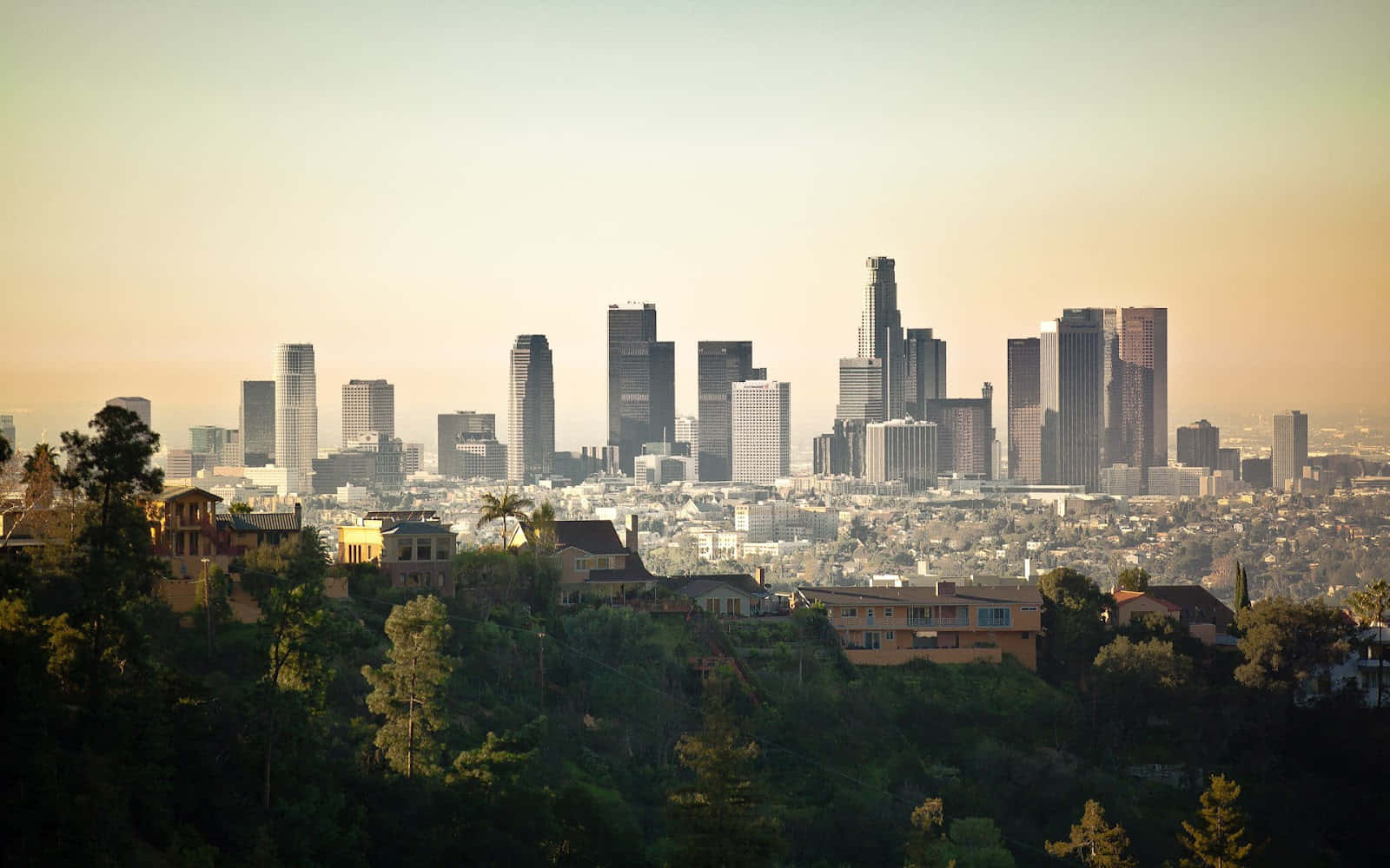 La 桌布 壁紙 — 洛杉磯天際線在黃金時刻的全景視野，前景是鬱鬱蔥蔥的綠色山丘。