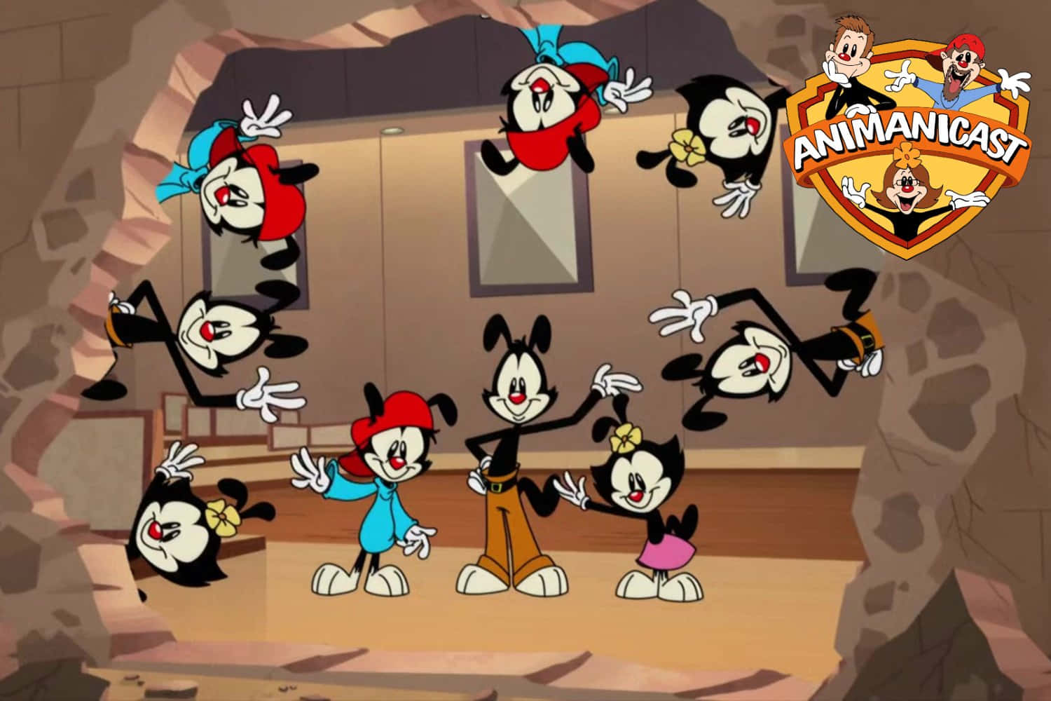 Animaniacs 桌布 壁紙 — 洞穴中的卡通角色，有多個漂浮的自己版本和一個Animaniacs標誌。
