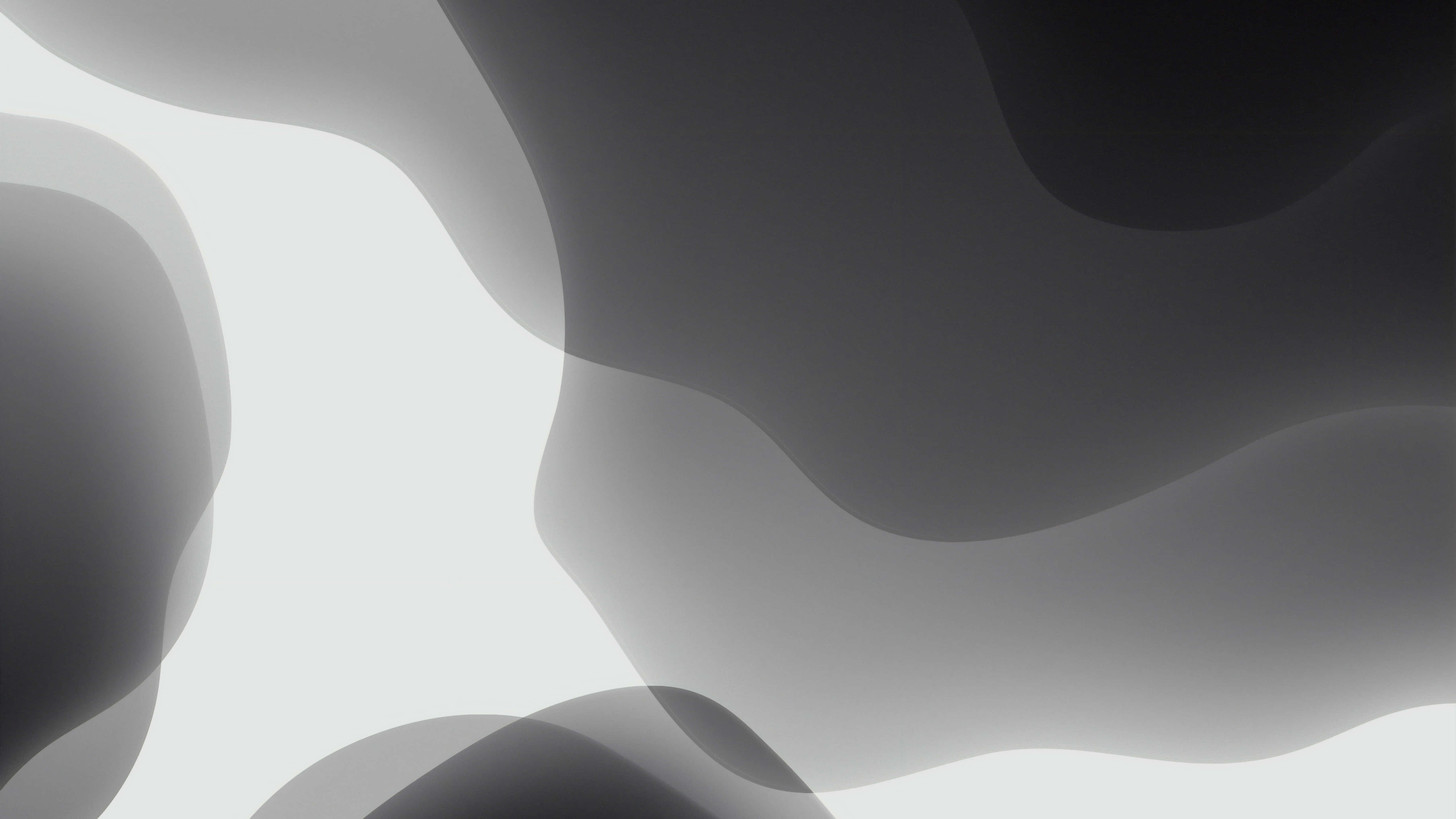 Grey Texture 桌布 壁紙 — 流暢平滑的抽象形狀以單色漸變營造出寧靜簡約的數位藝術背景。