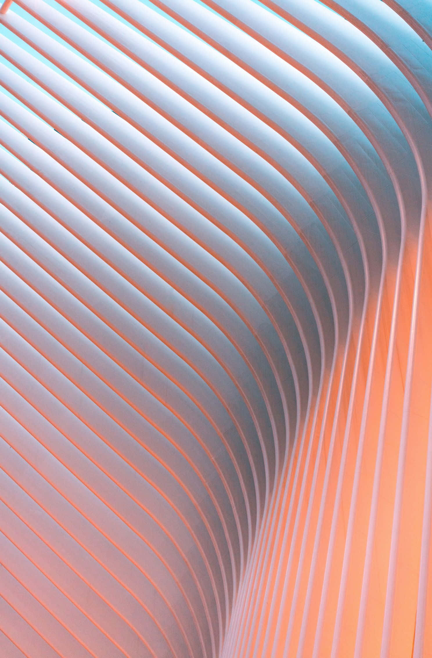 1488x2266 桌布 壁紙 — 流暢的曲線建築線條以桃色和藍綠色的漸變色調流動，創造出現代抽象圖案。