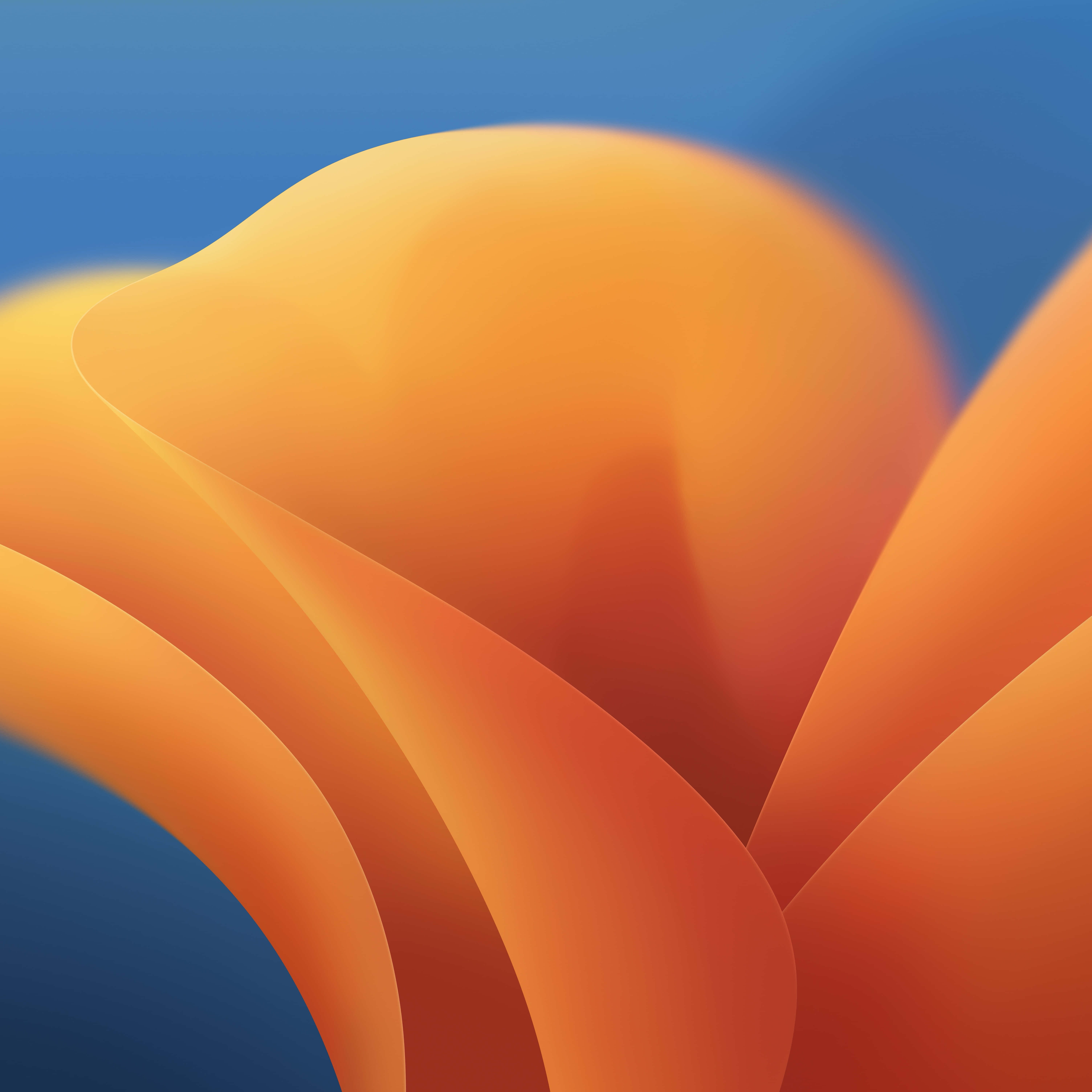 Orange And Blue 桌布 壁紙 — 流暢的橙色和藍色抽象形狀營造出寧靜的數位漸變背景。