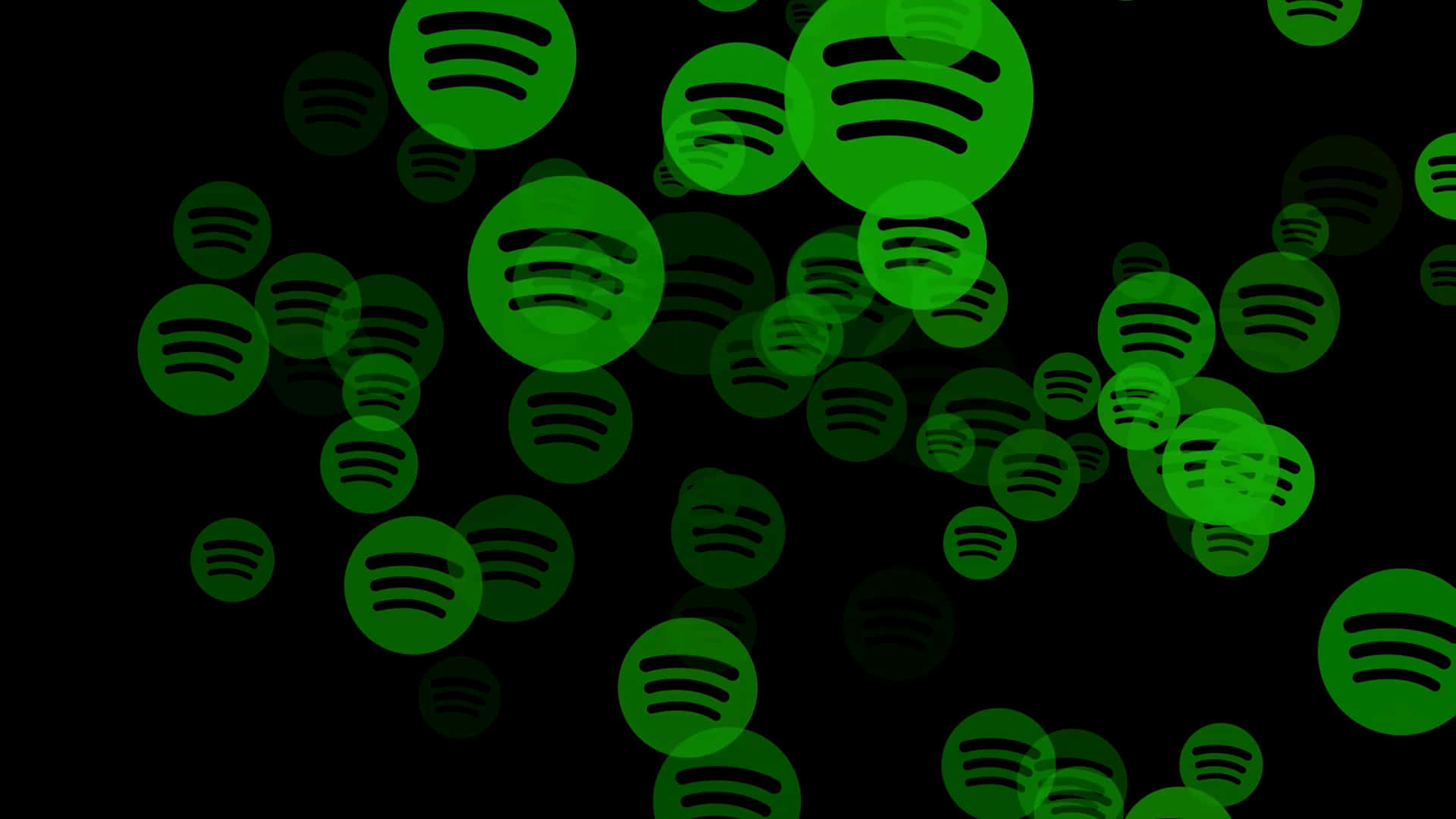 Spotify 桌布 壁紙 — 浮動的綠色Spotify標誌以不同的不透明度和大小在黑色背景上飄浮。