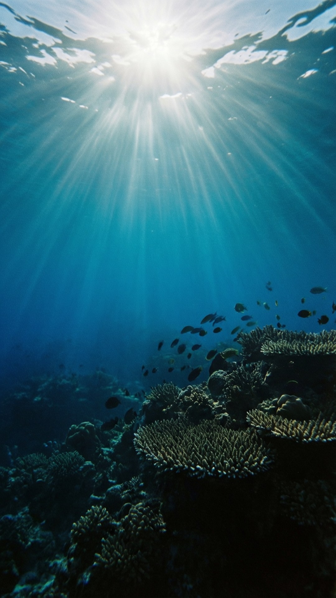 海底光影 壁紙