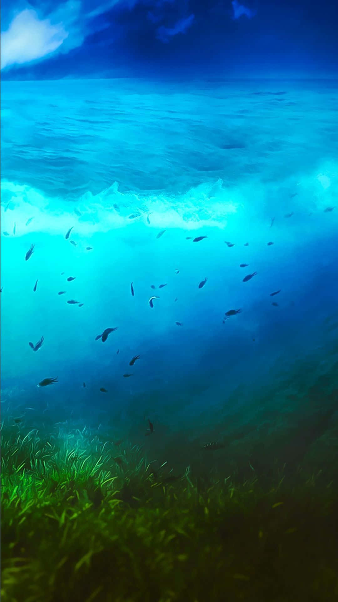 水下動畫 桌布 壁紙 — 海底景觀，綠色的海草床上翻湧著碧綠色的海浪，魚兒在下方游動。
