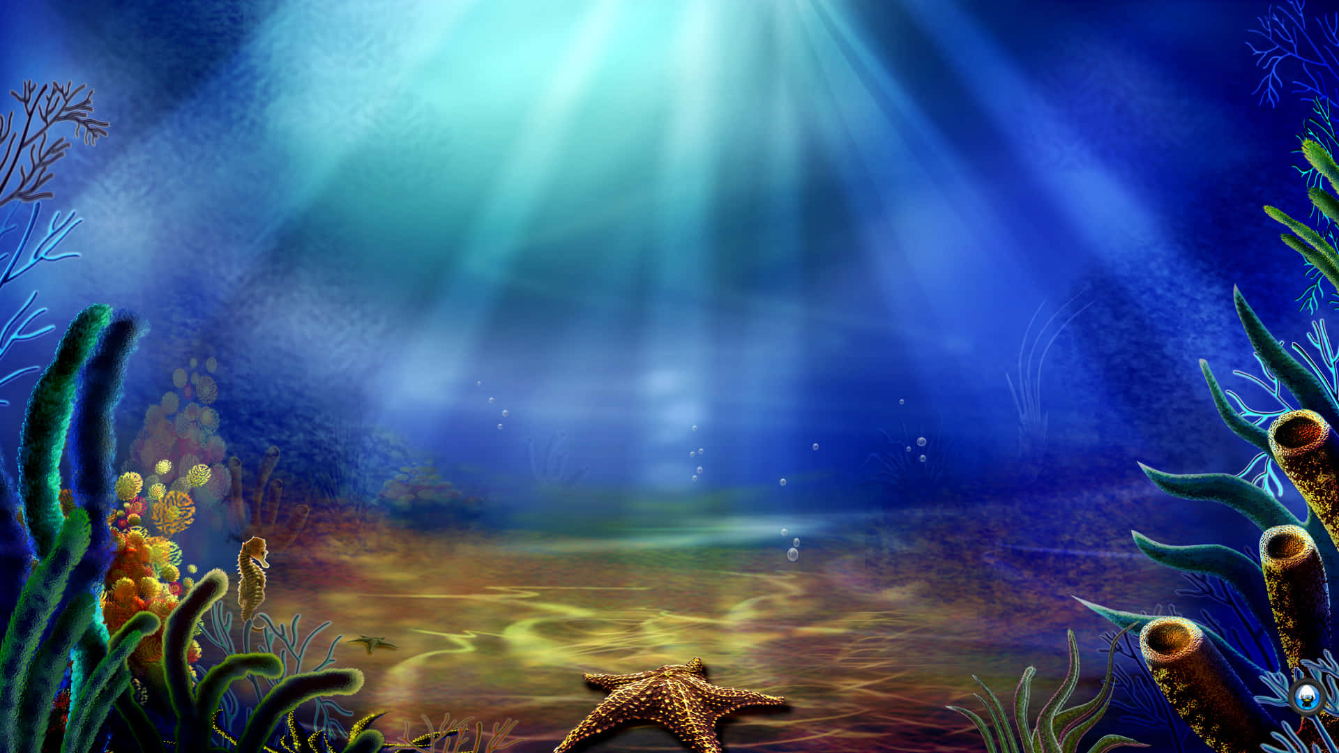 海底景觀中的海星與珊瑚 壁紙